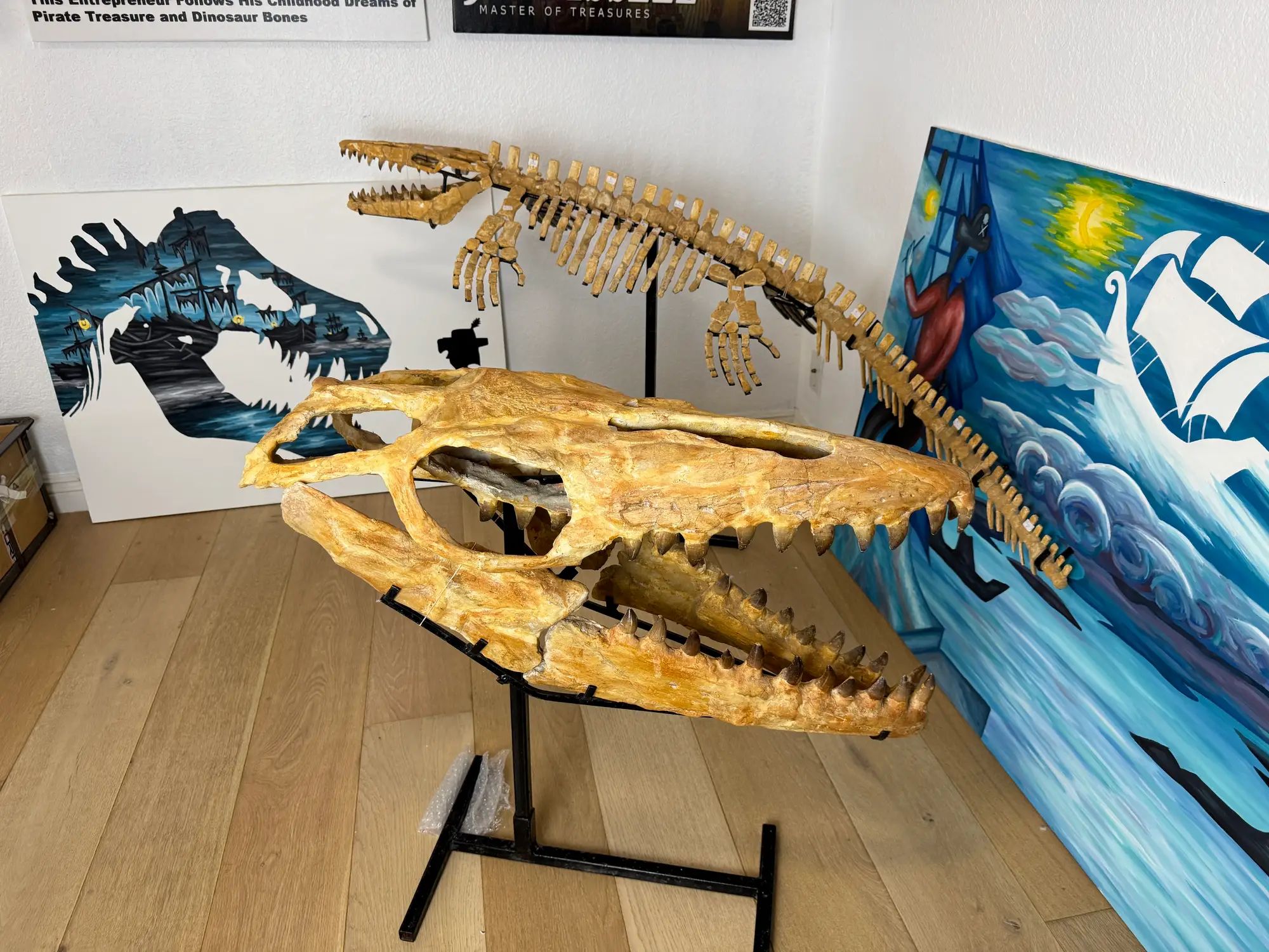 Mosasaur Skull Halisaurus Arambourgi Mosasaurus  12