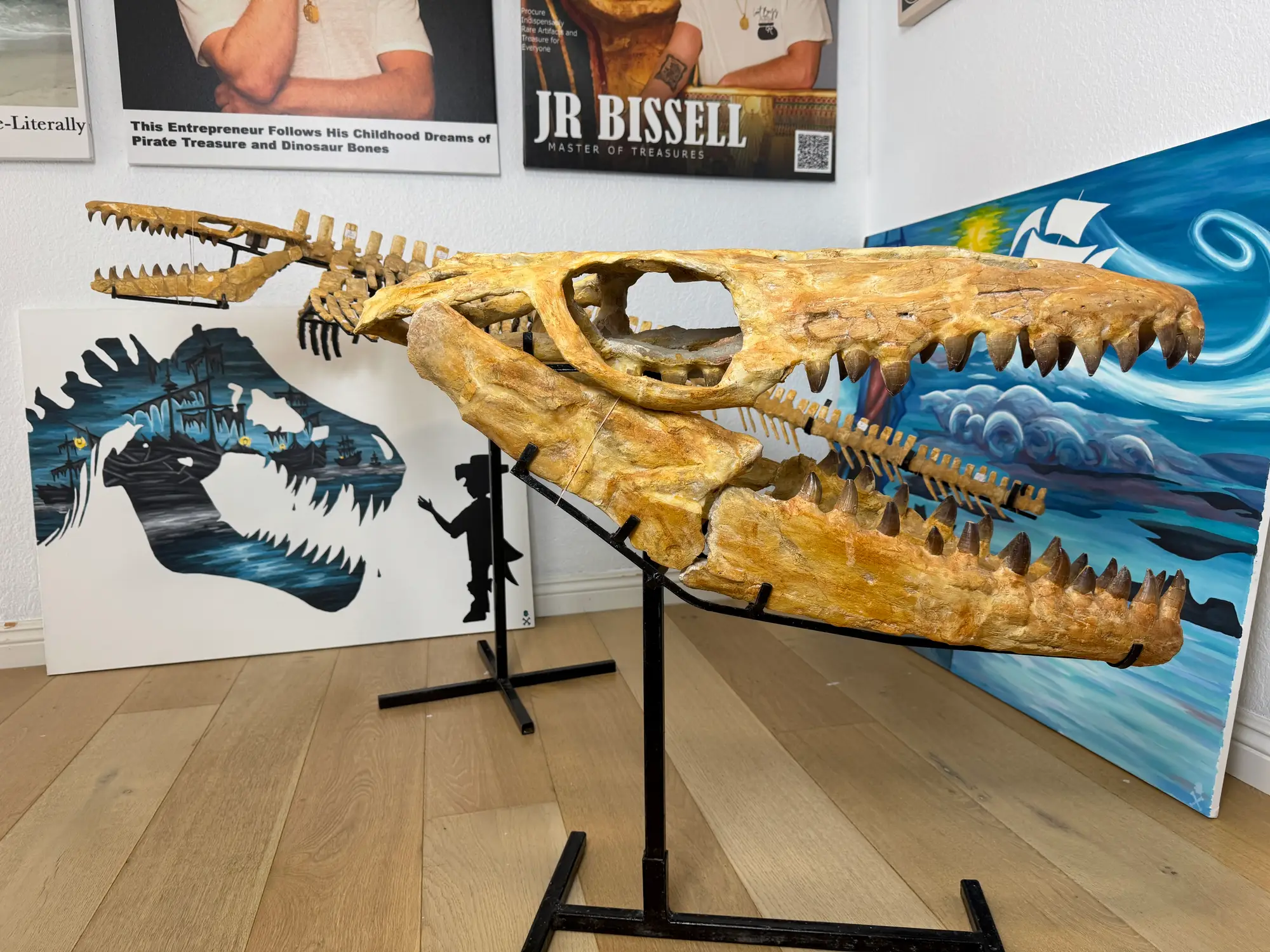 Mosasaur Skull Halisaurus Arambourgi Mosasaurus  20