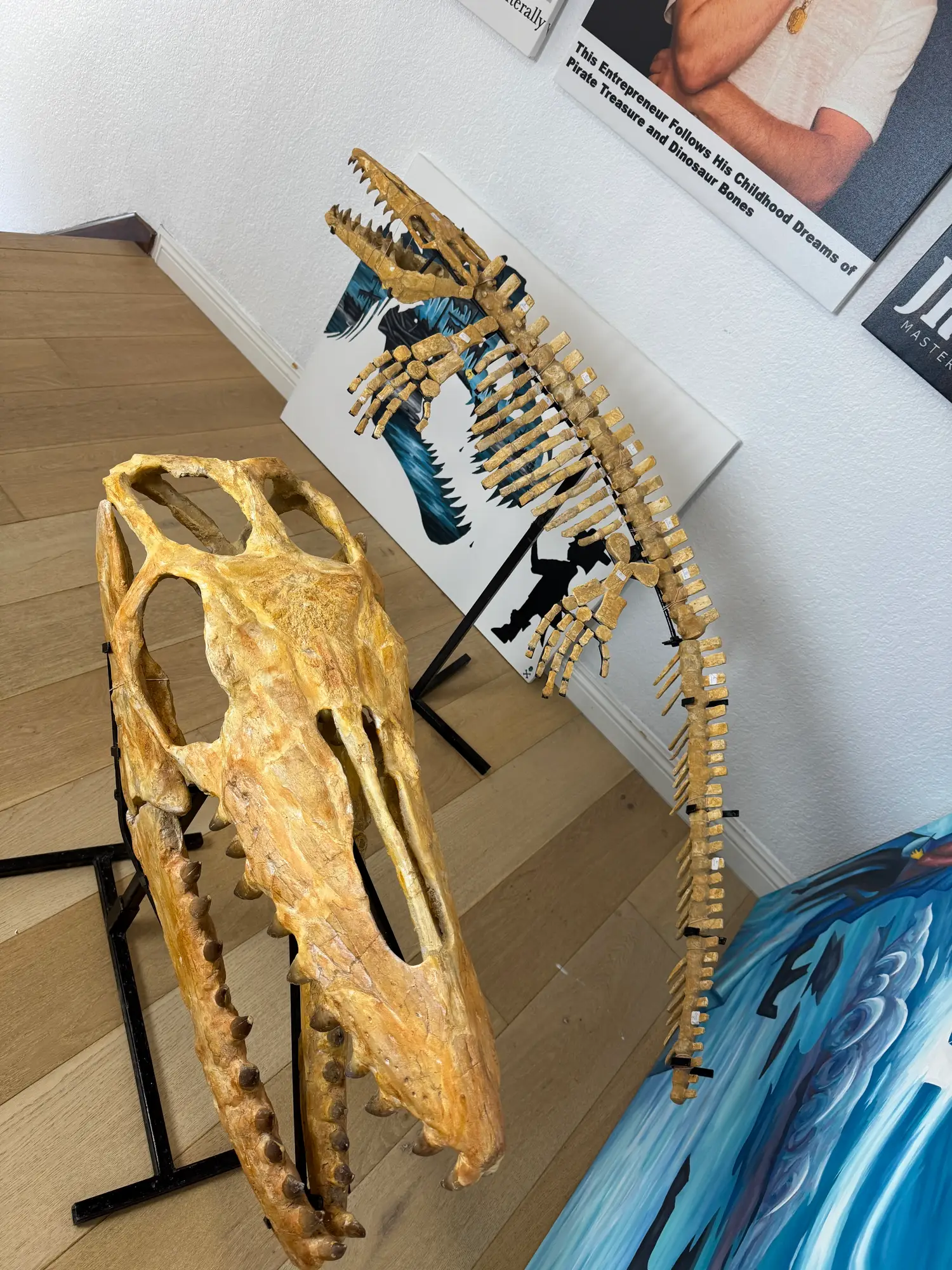 Mosasaur Skull Halisaurus Arambourgi Mosasaurus  23