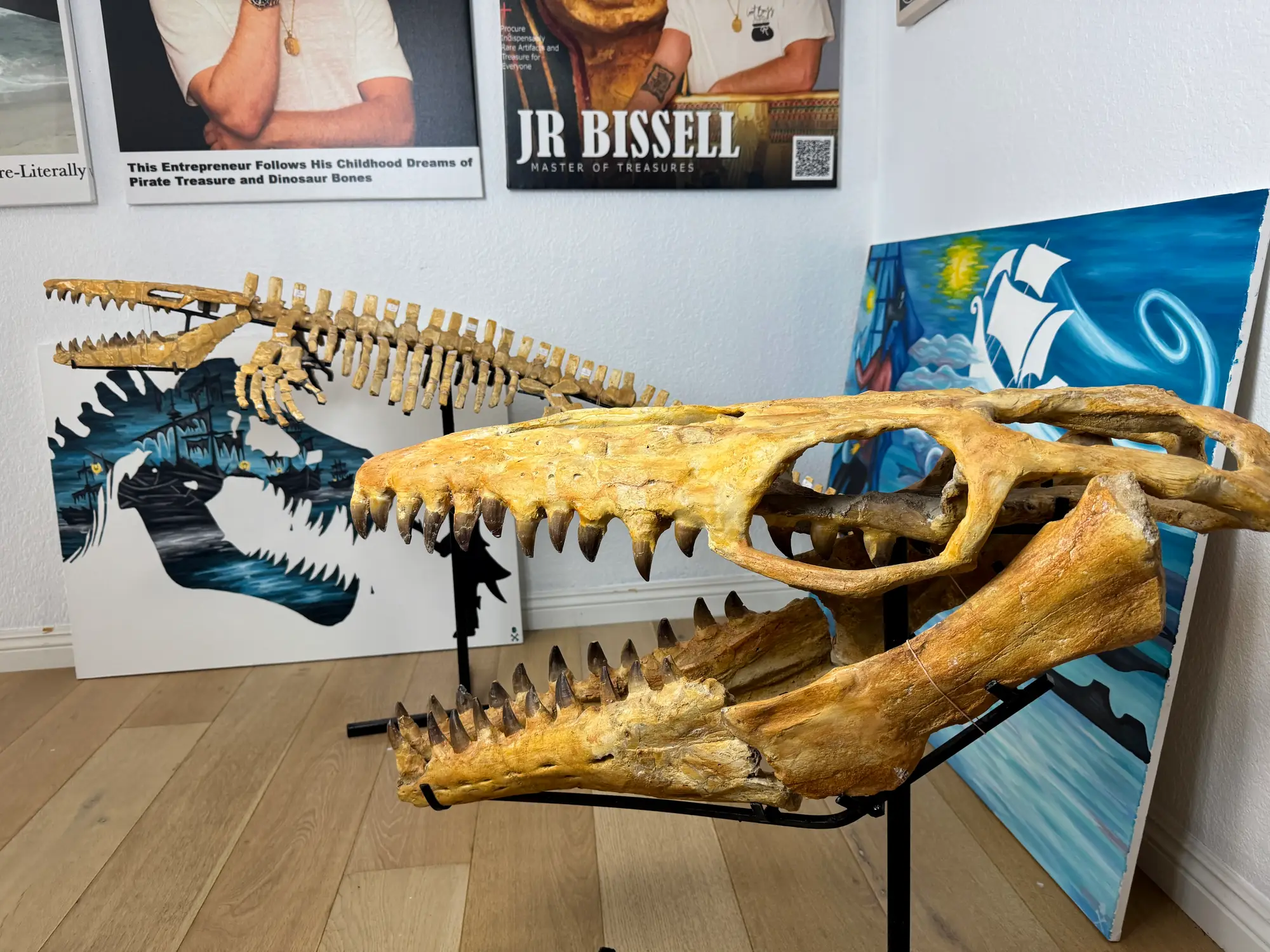Mosasaur Skull Halisaurus Arambourgi Mosasaurus  25