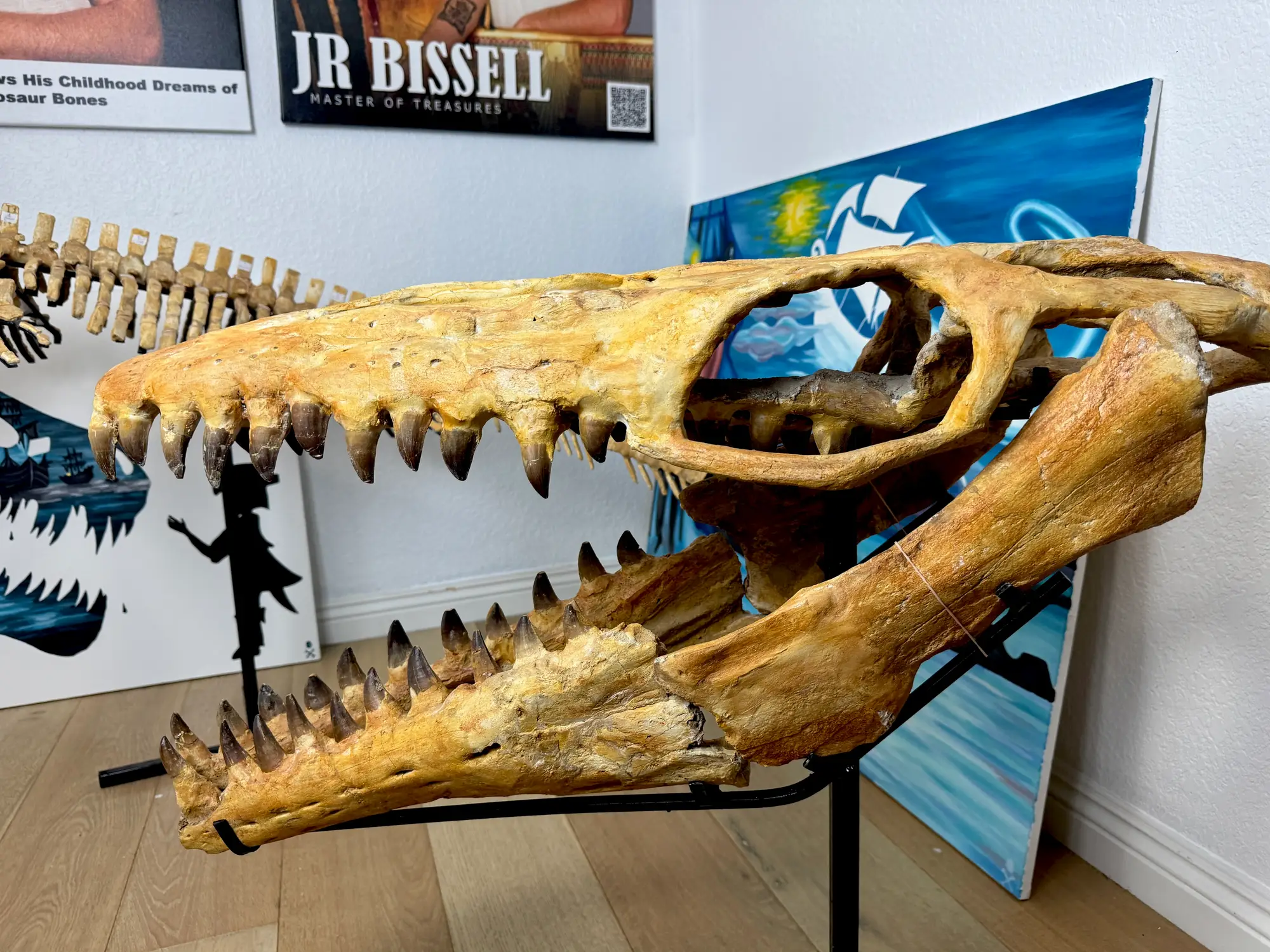 Mosasaur Skull Halisaurus Arambourgi Mosasaurus  27