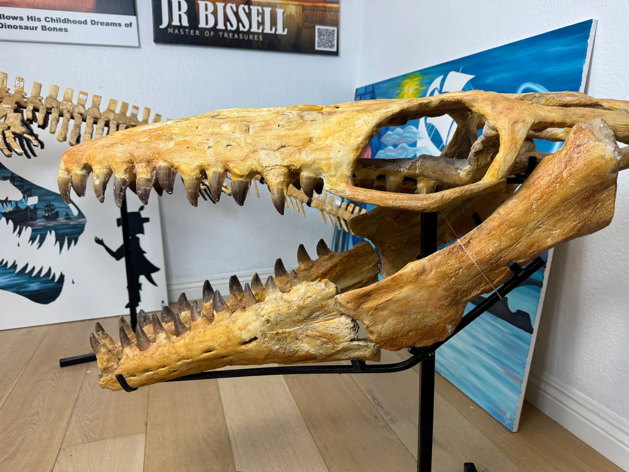 Mosasaur Skull Halisaurus Arambourgi Mosasaurus  28