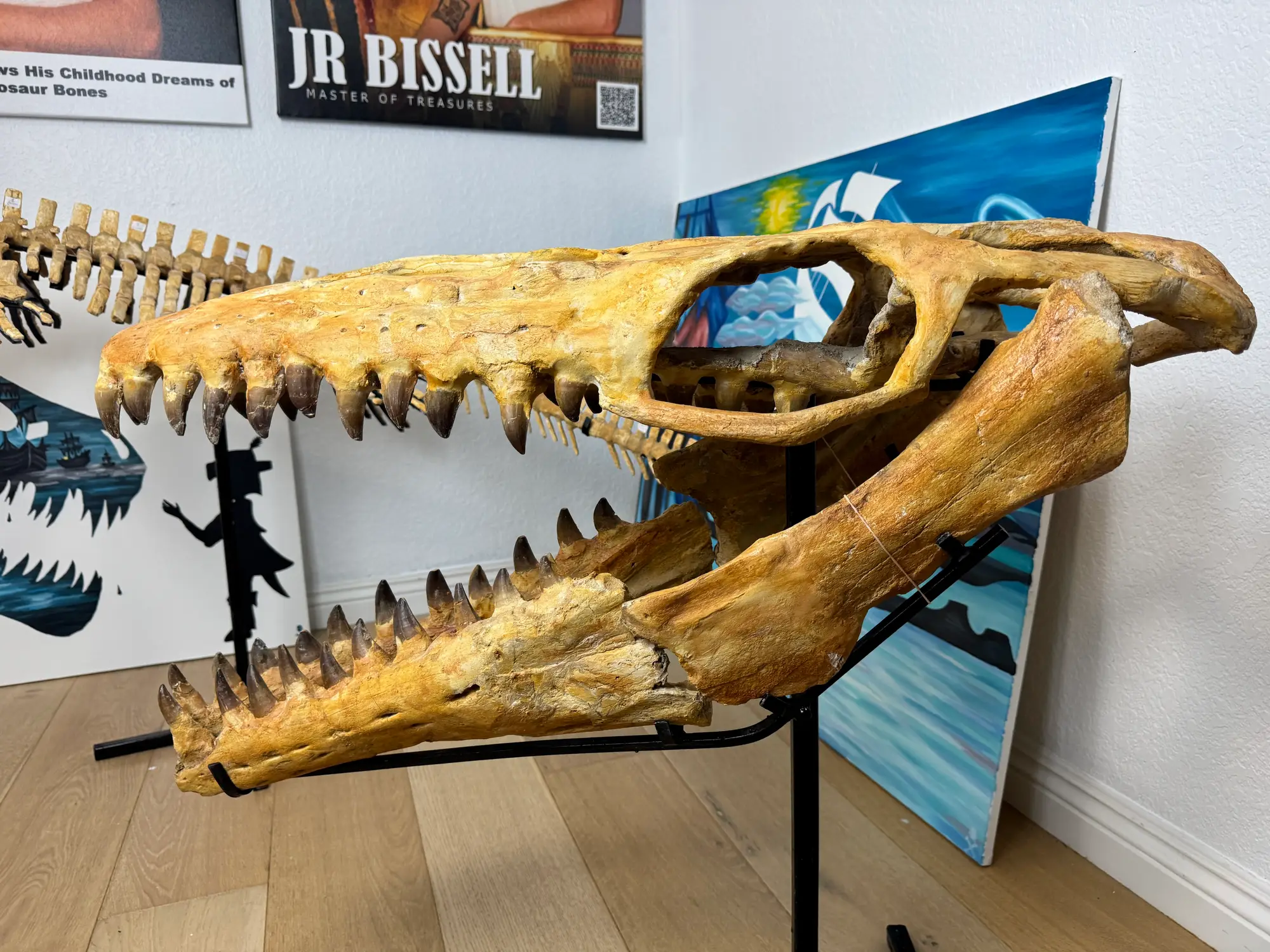 Mosasaur Skull Halisaurus Arambourgi Mosasaurus  29