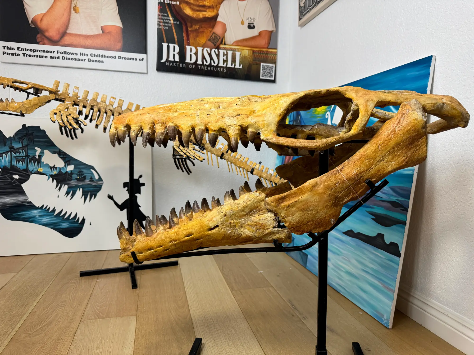 Mosasaur Skull Halisaurus Arambourgi Mosasaurus  31