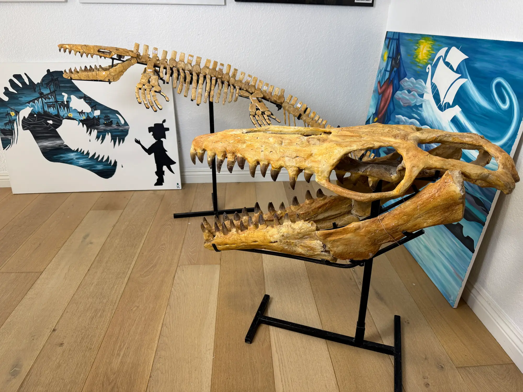 Mosasaur Skull Halisaurus Arambourgi Mosasaurus  35