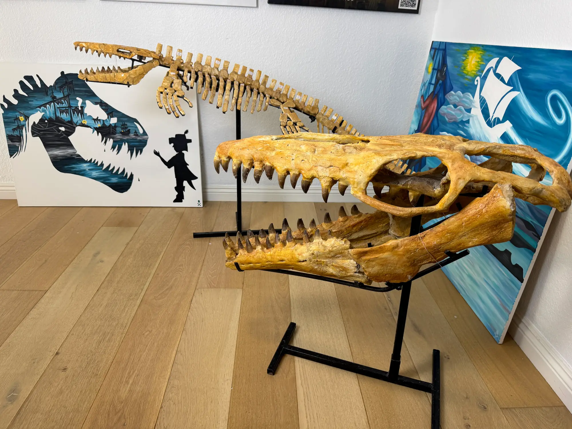 Mosasaur Skull Halisaurus Arambourgi Mosasaurus  36