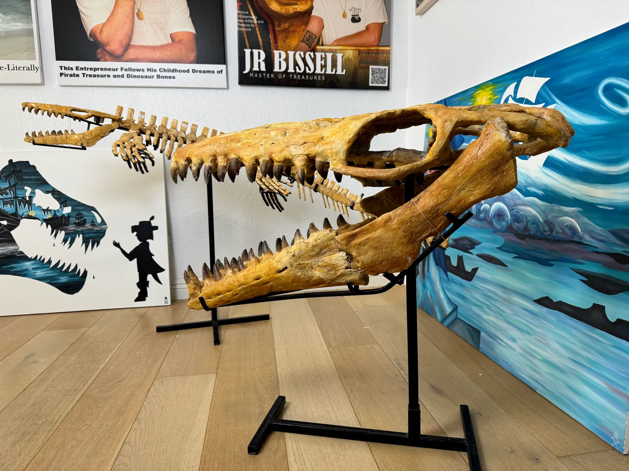 Mosasaur Skull Halisaurus Arambourgi Mosasaurus  9