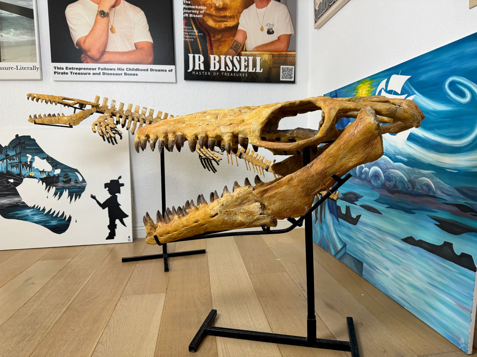Mosasaur Skull Halisaurus Arambourgi Mosasaurus  10