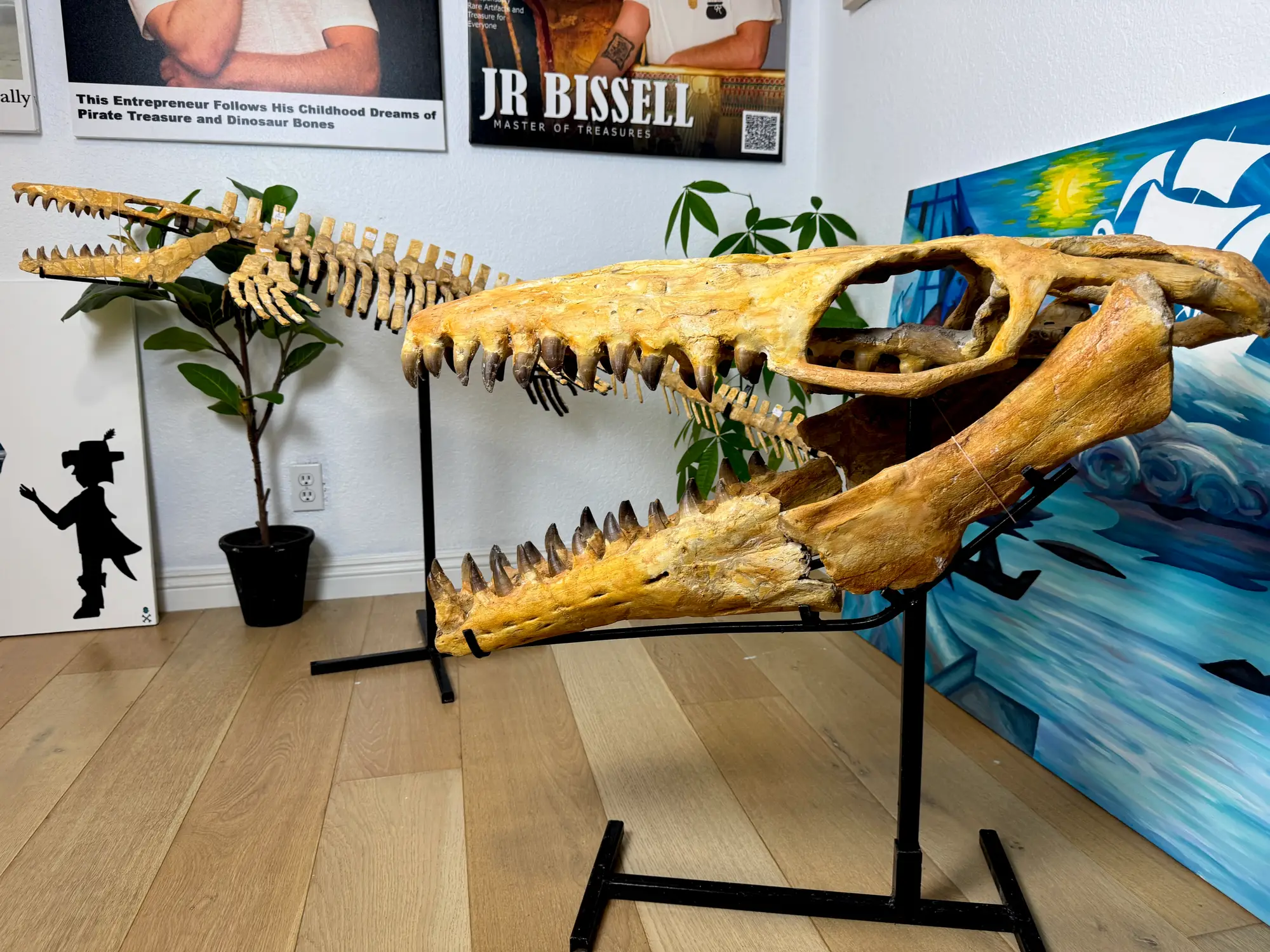 Mosasaur Skull Halisaurus Arambourgi Mosasaurus  11