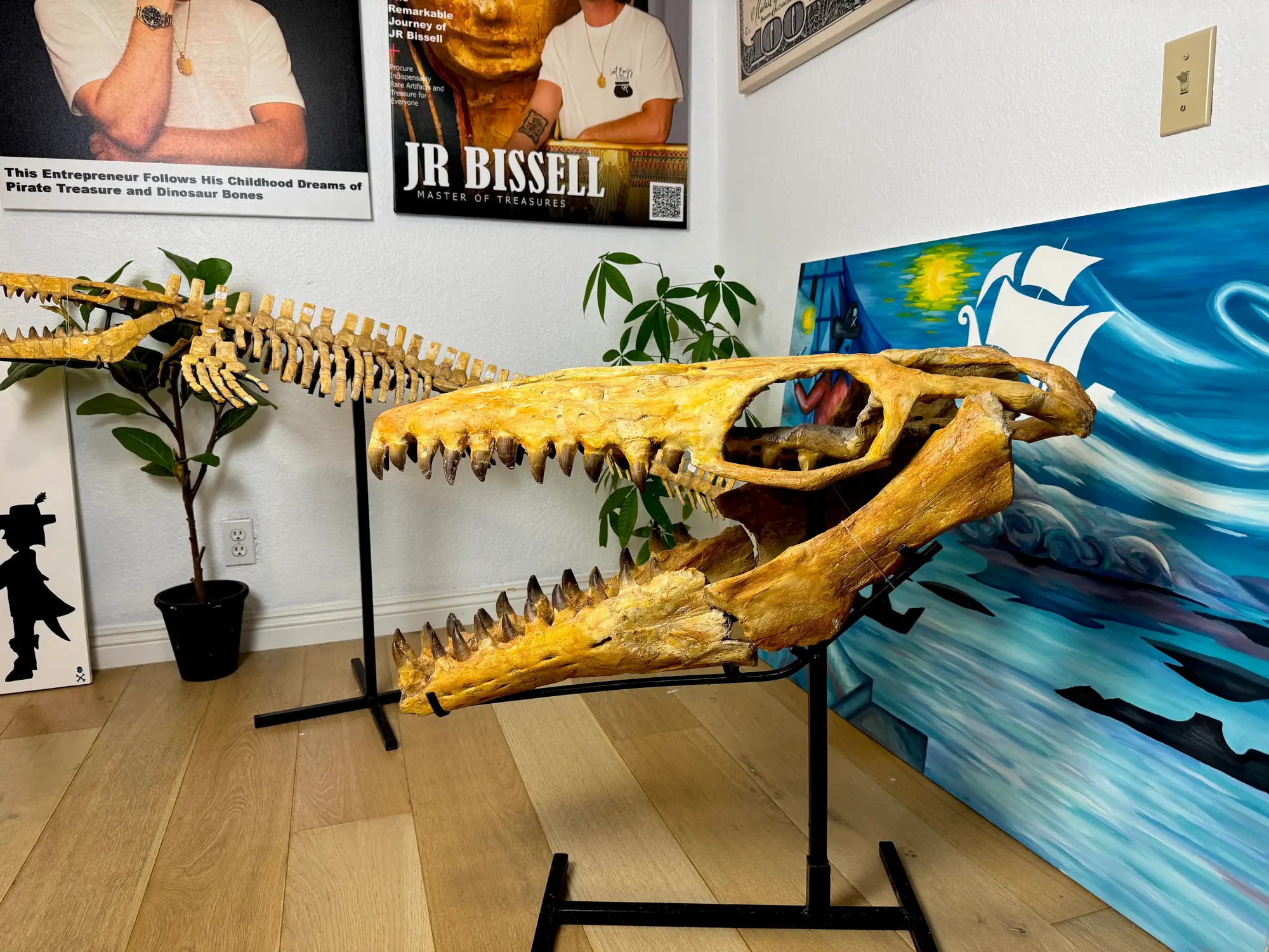 Mosasaur Skull Halisaurus Arambourgi Mosasaurus  2