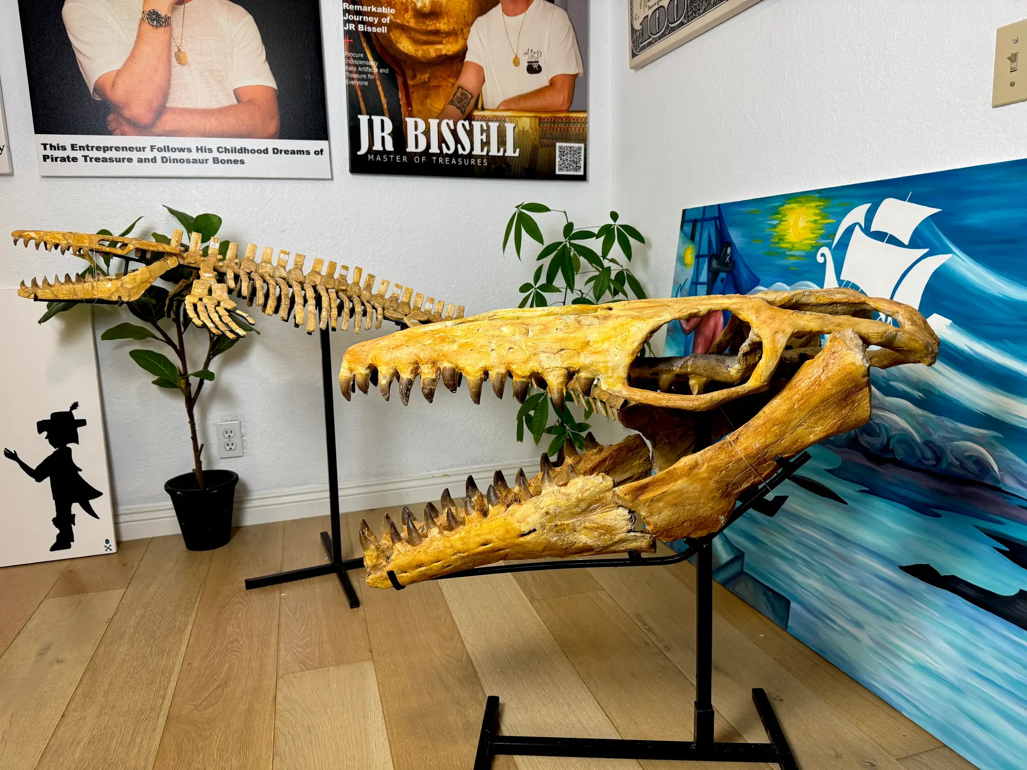 Mosasaur Skull Halisaurus Arambourgi Mosasaurus  3