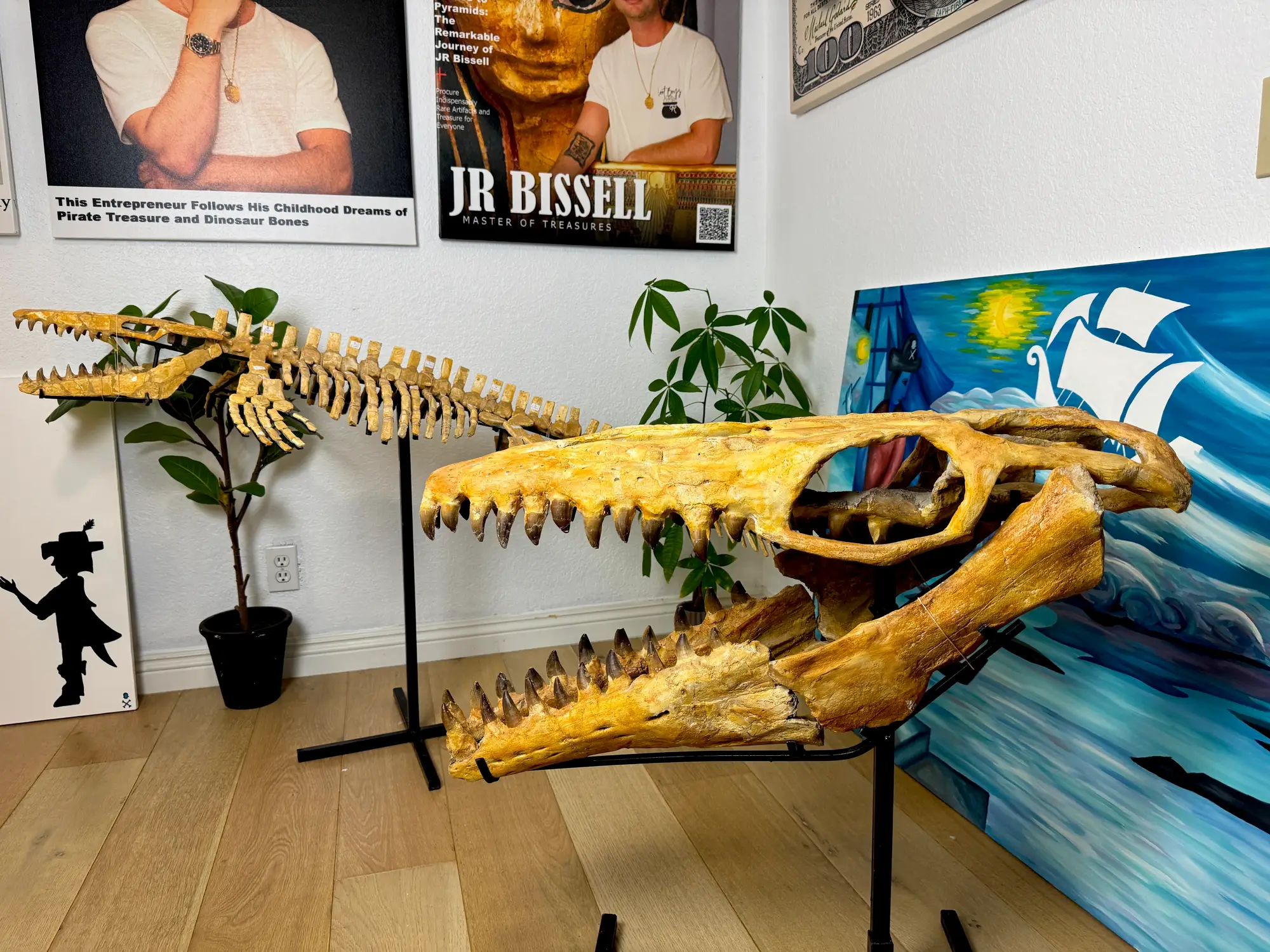 Mosasaur Skull Halisaurus Arambourgi Mosasaurus  4