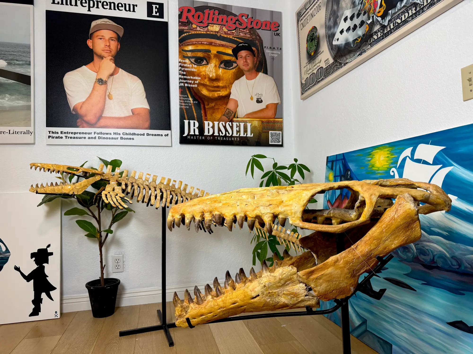 Mosasaur Skull Halisaurus Arambourgi Mosasaurus  5