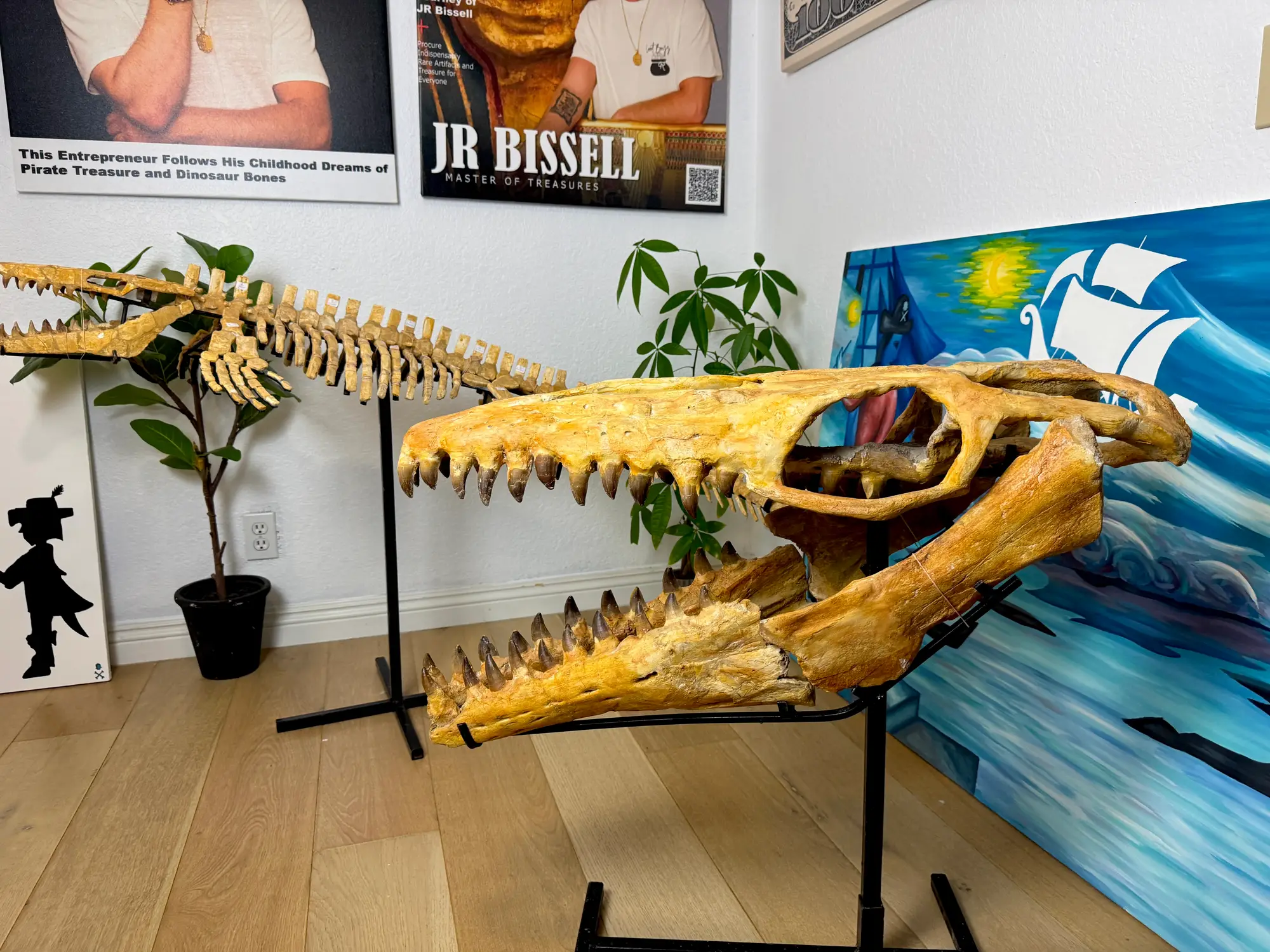 Mosasaur Skull Halisaurus Arambourgi Mosasaurus  7