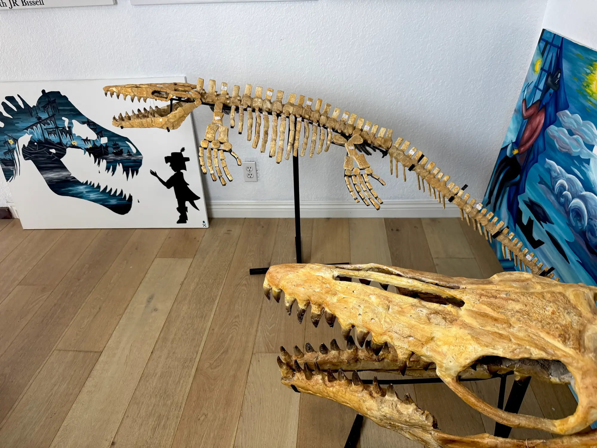 Mosasaur Full Skeleton (Small) Frankenstein Halisaurus Arambourgi Mosasaurus  33