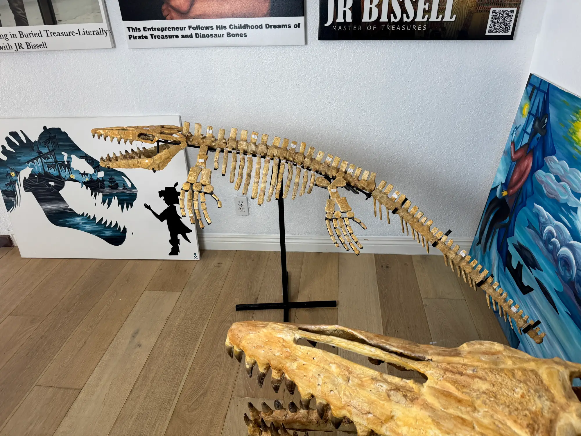 Mosasaur Full Skeleton (Small) Frankenstein Halisaurus Arambourgi Mosasaurus  34