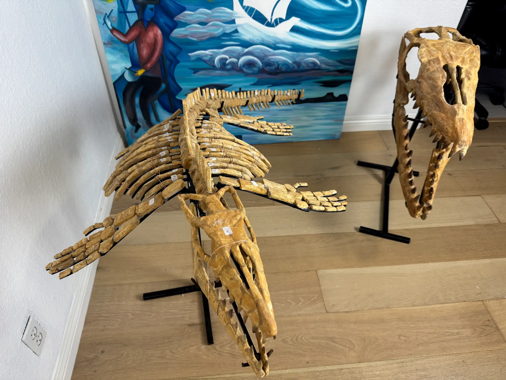 Mosasaur Full Skeleton (Small) Frankenstein Halisaurus Arambourgi Mosasaurus  36