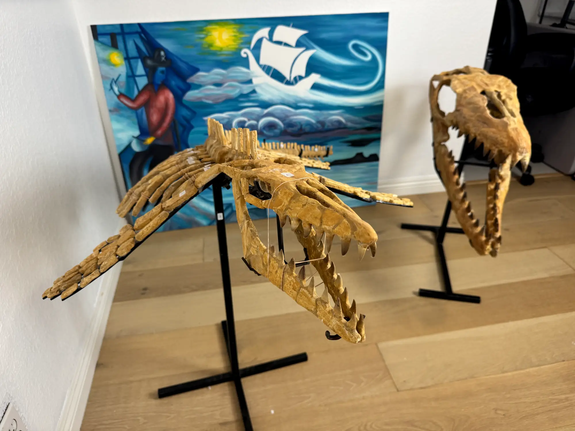 Mosasaur Full Skeleton (Small) Frankenstein Halisaurus Arambourgi Mosasaurus  37