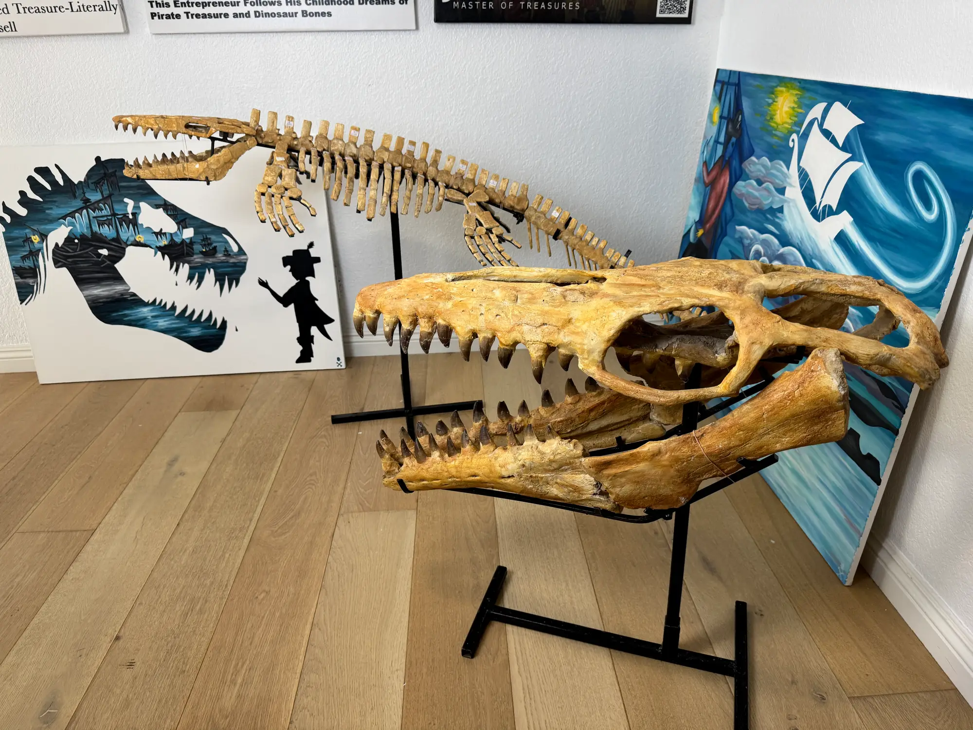 Mosasaur Full Skeleton (Small) Frankenstein Halisaurus Arambourgi Mosasaurus  38