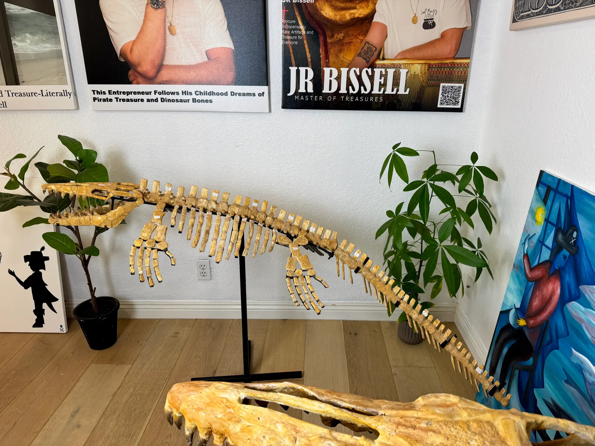 Mosasaur Full Skeleton (Small) Frankenstein Halisaurus Arambourgi Mosasaurus  2