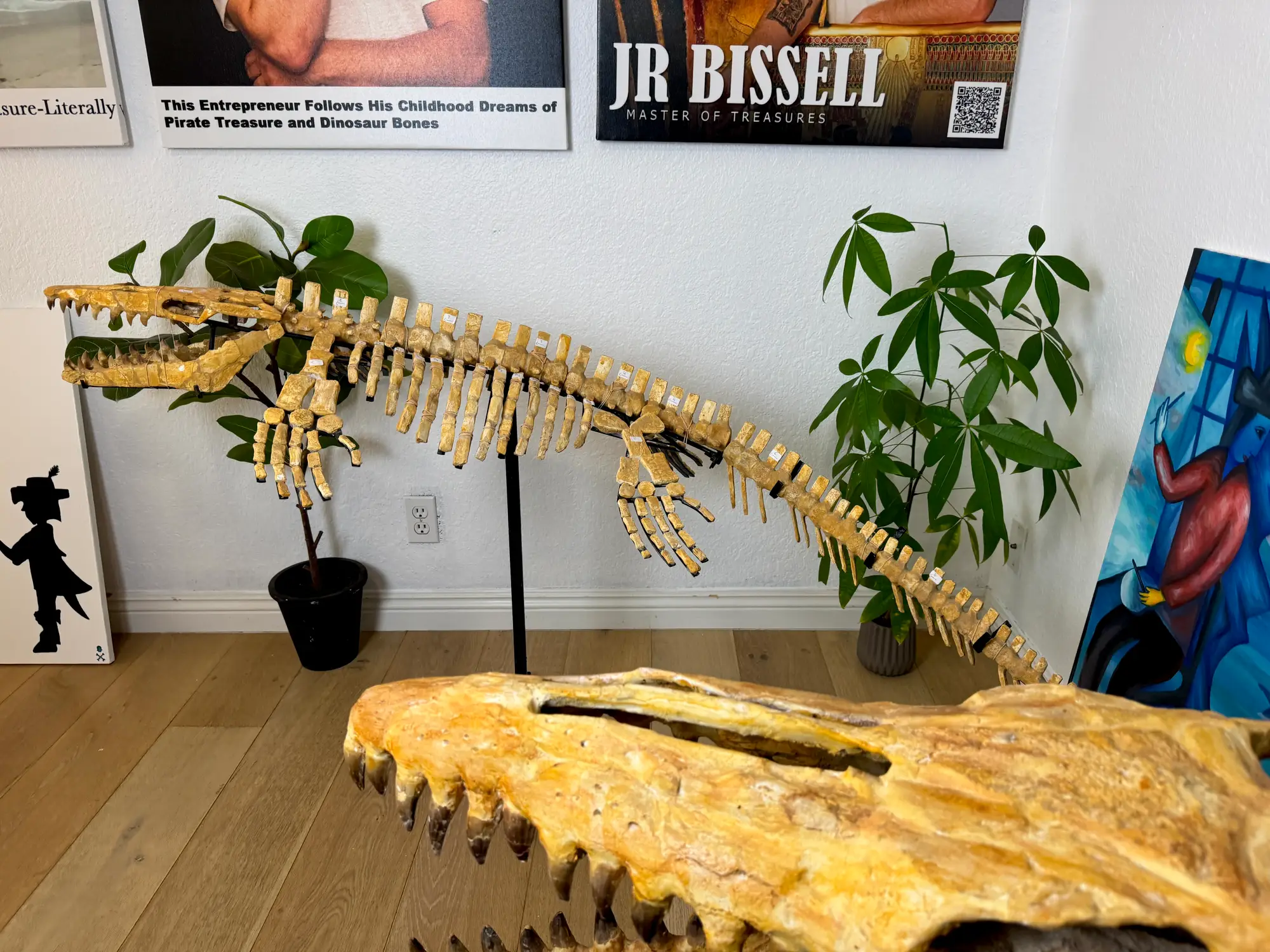 Mosasaur Full Skeleton (Small) Frankenstein Halisaurus Arambourgi Mosasaurus  6