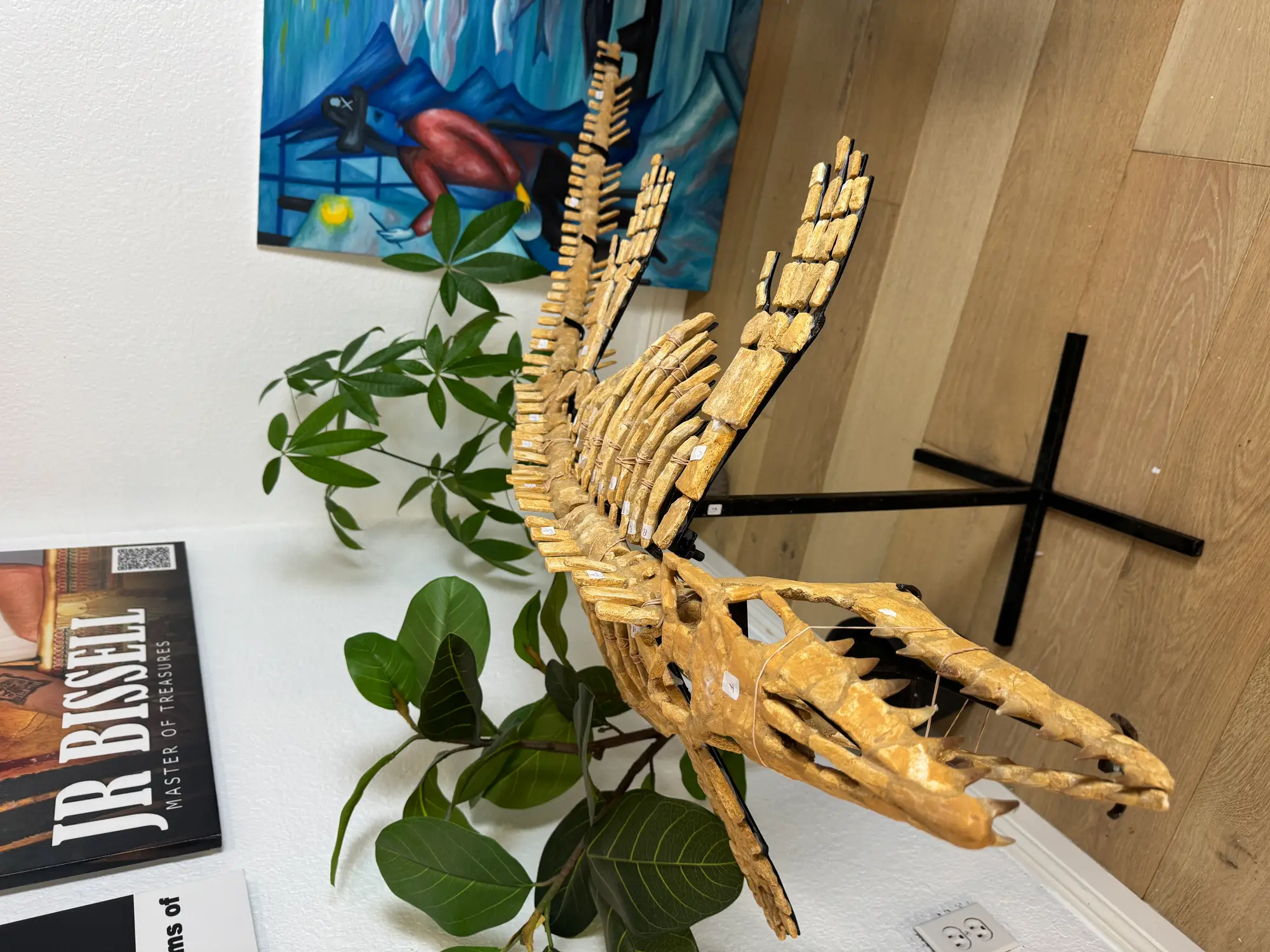 Mosasaur Full Skeleton (Small) Frankenstein Halisaurus Arambourgi Mosasaurus  7