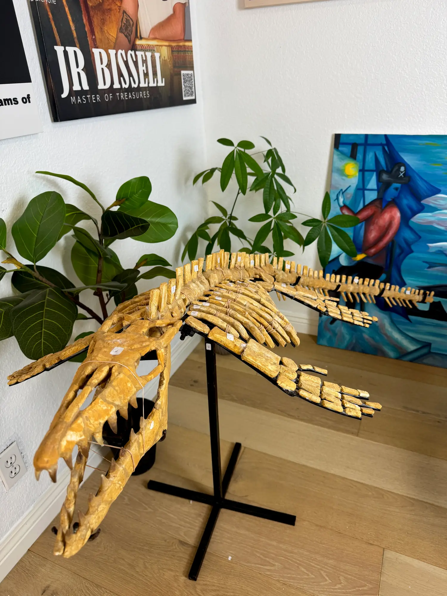 Mosasaur Full Skeleton (Small) Frankenstein Halisaurus Arambourgi Mosasaurus  8