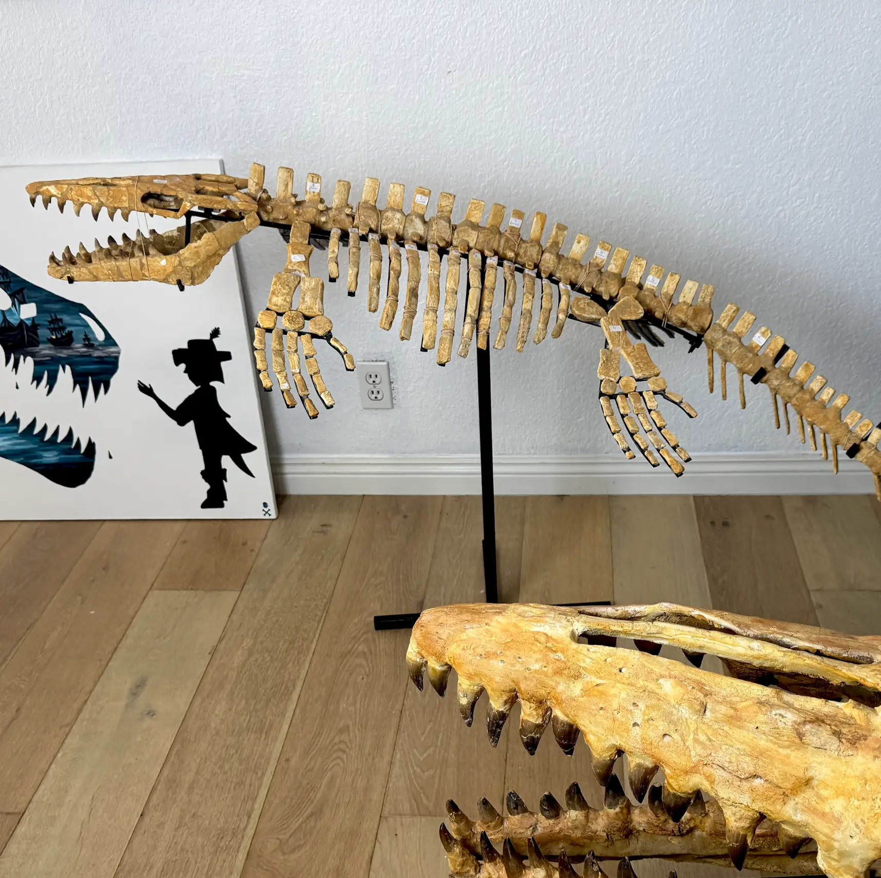 Mosasaur Full Skeleton (Small) Frankenstein Halisaurus Arambourgi Mosasaurus  16