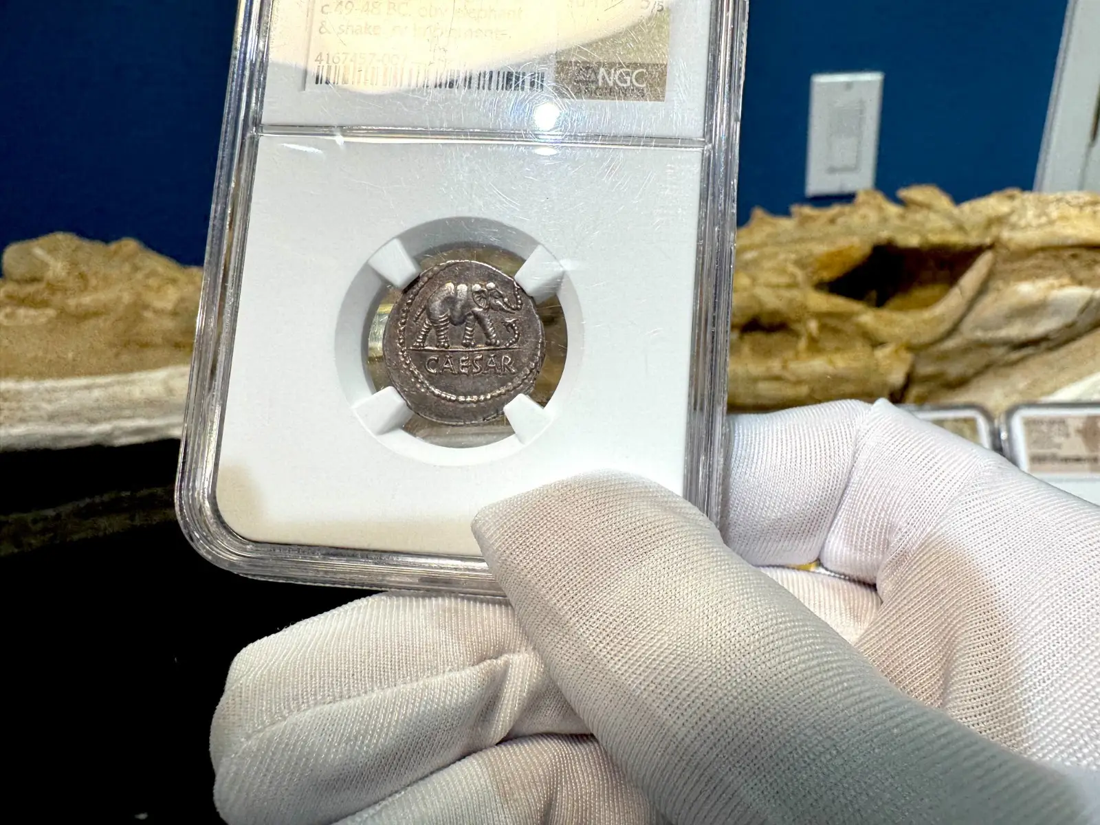 Roman Imperatorial "Julius Caesar - Elephant" NGC Ch XF★ 5X5 9