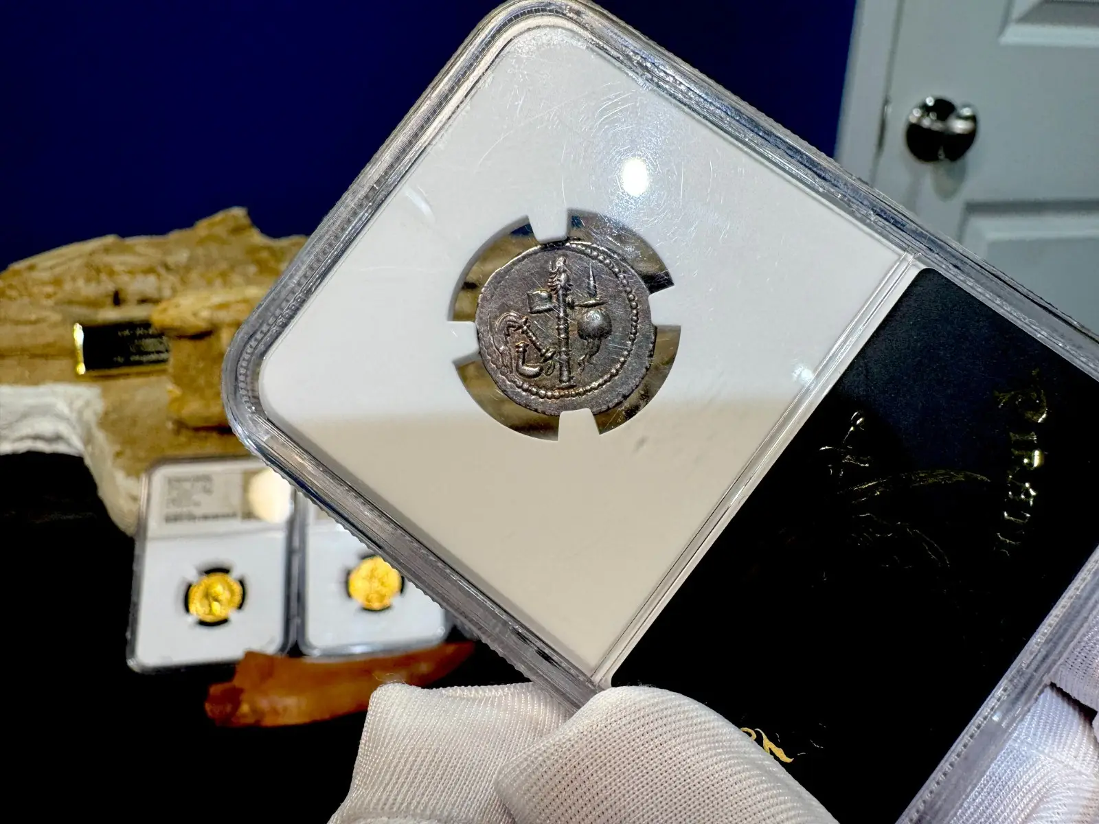 Roman Imperatorial "Julius Caesar - Elephant" NGC Ch XF★ 5X5 13
