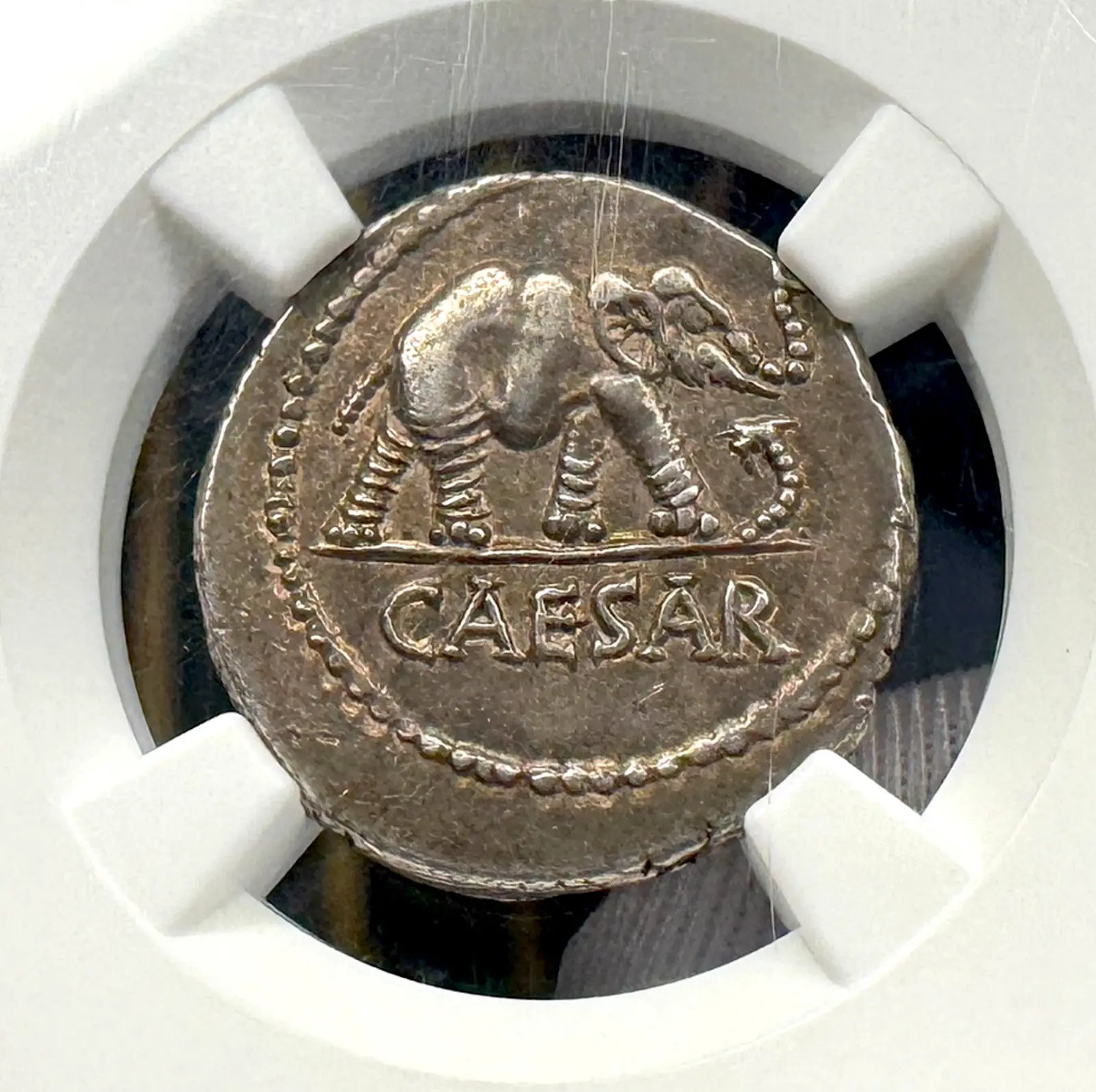 Roman Imperatorial "Julius Caesar - Elephant" NGC Ch XF★ 5X5 2
