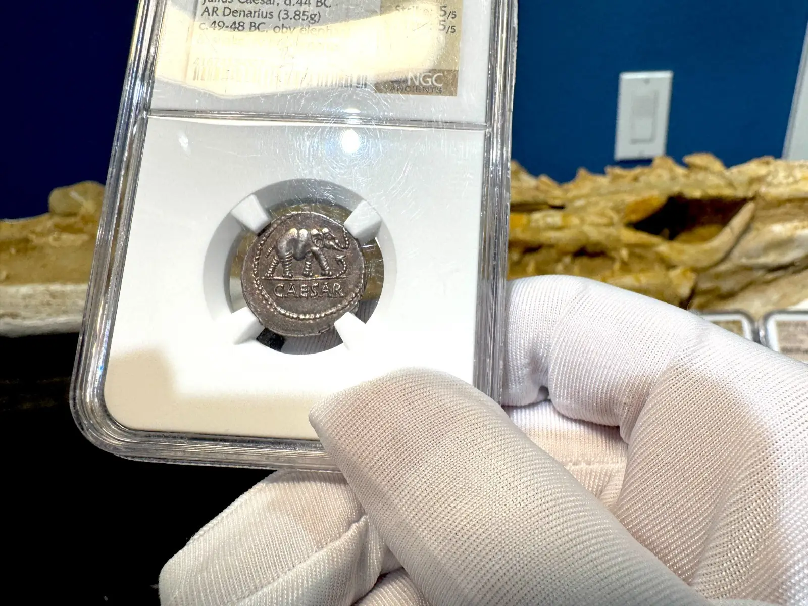 Roman Imperatorial "Julius Caesar - Elephant" NGC Ch XF★ 5X5 5