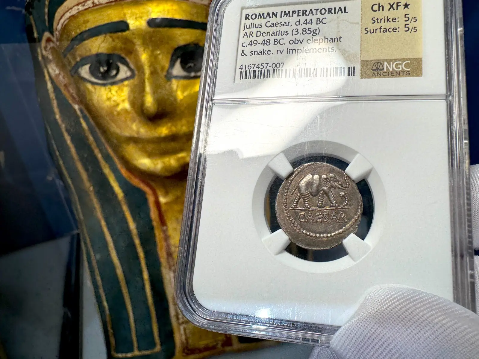 Roman Imperatorial "Julius Caesar - Elephant" NGC Ch XF★ 5X5 17
