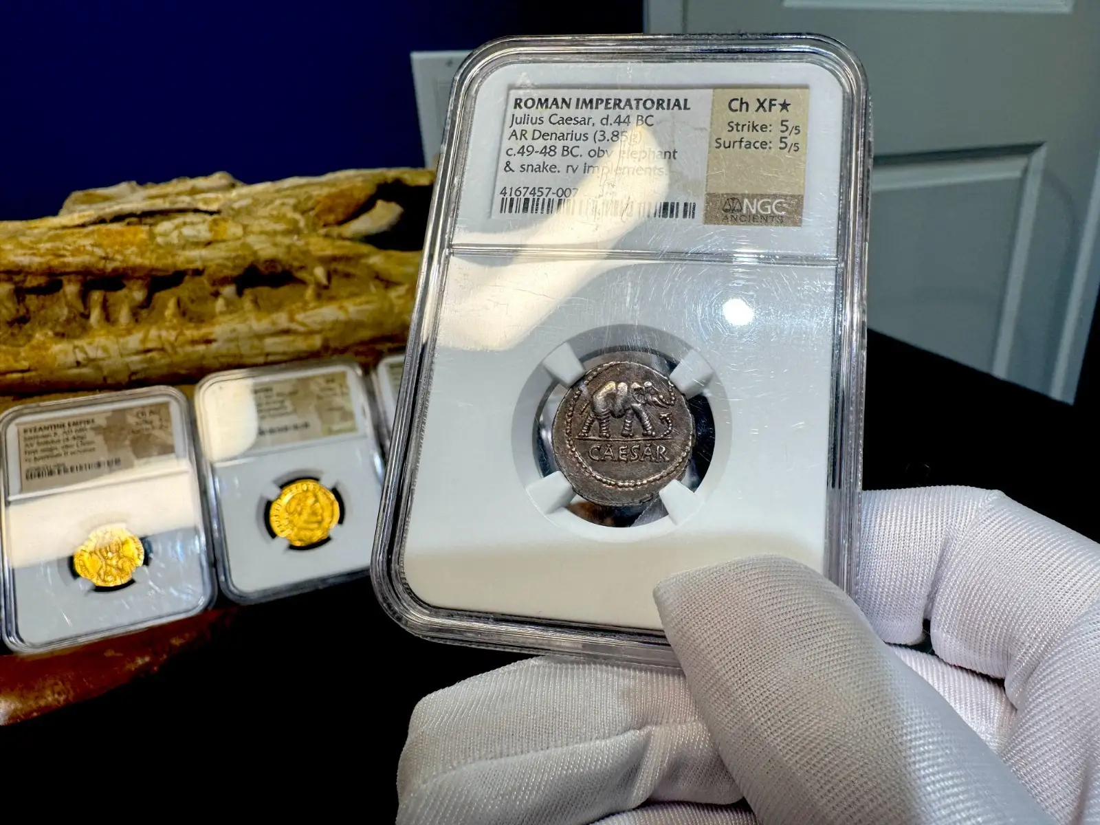 Roman Imperatorial "Julius Caesar - Elephant" NGC Ch XF★ 5X5 12