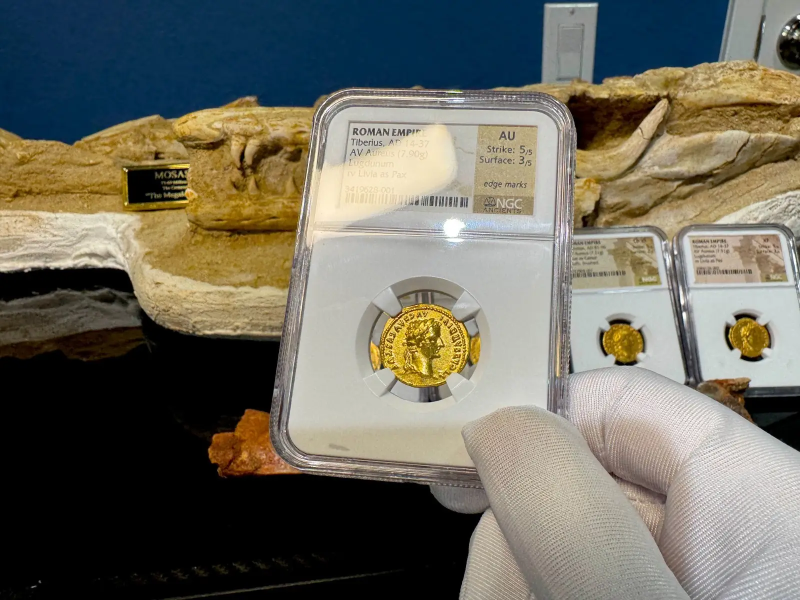 Roman Empire "Tiberius- 3rd of 12 Caesars" 14AD Aureus NGC AU 15