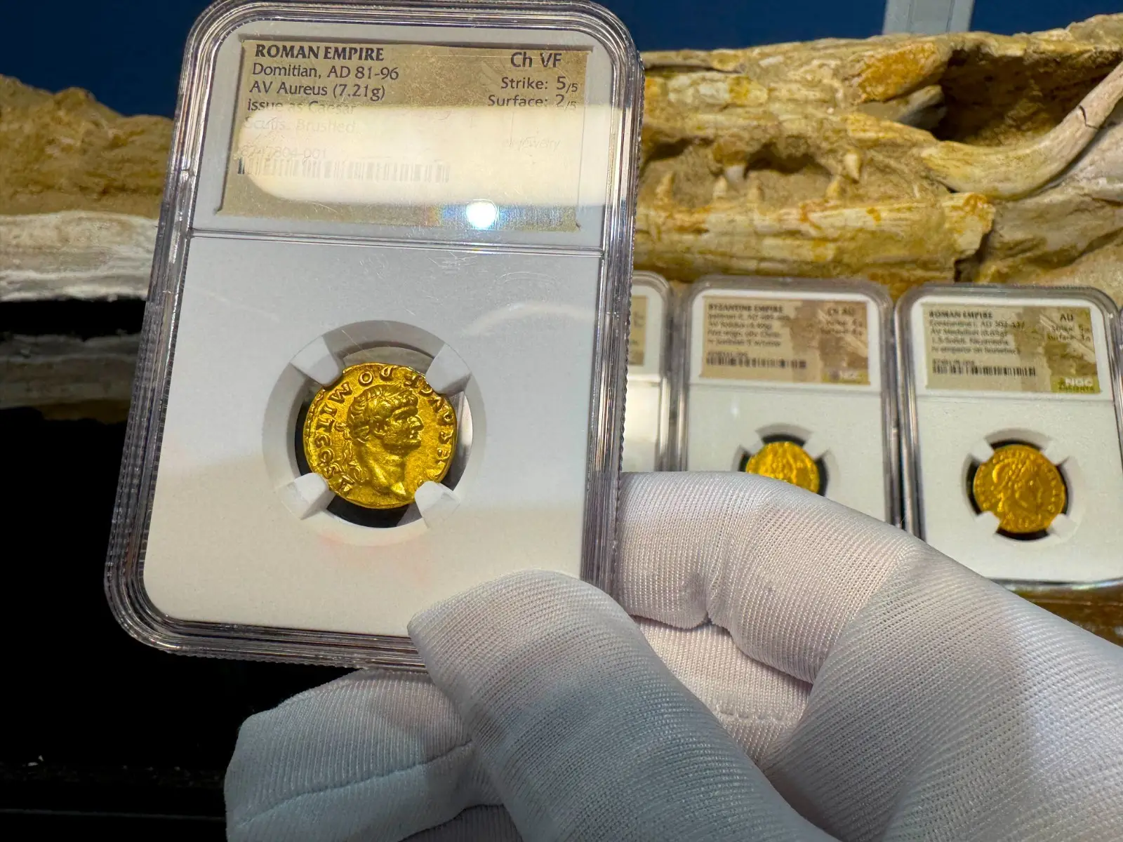 Roman Empire Domitian "12th of the 12 Caesars" 81AD NGC CH VF 5x2 17
