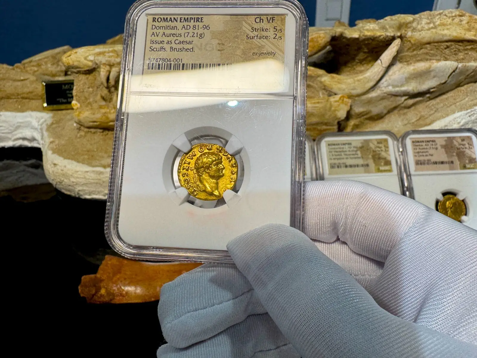 Roman Empire Domitian "12th of the 12 Caesars" 81AD NGC CH VF 5x2 21