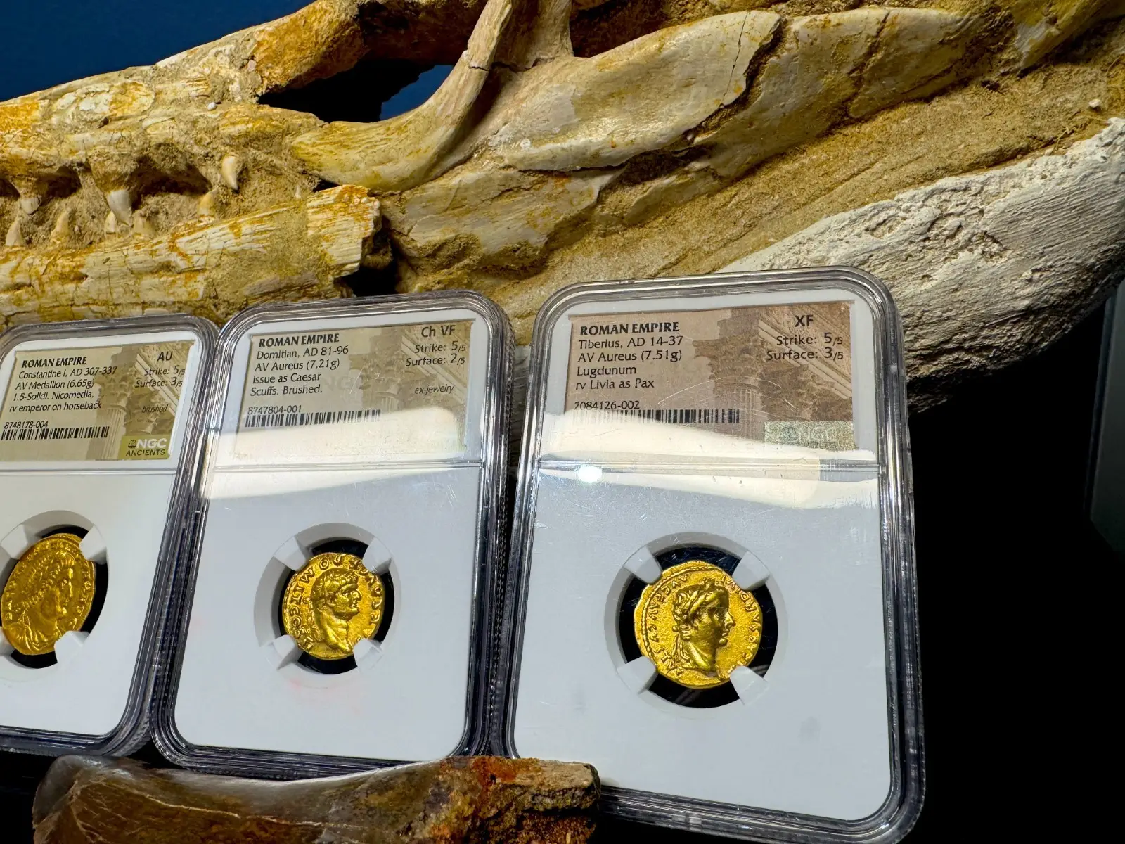 Roman Empire Tiberius "3rd of the 12 Caesars" 14AD NGC XF 5x3 Straight Grade 6