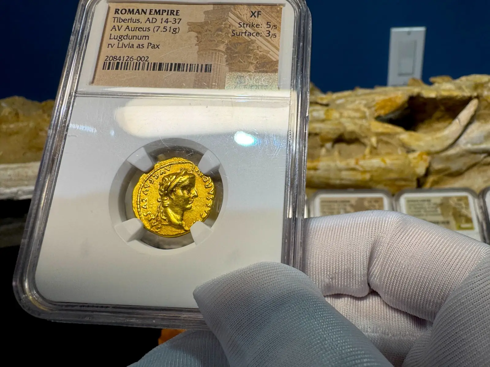 Roman Empire Tiberius "3rd of the 12 Caesars" 14AD NGC XF 5x3 Straight Grade 7