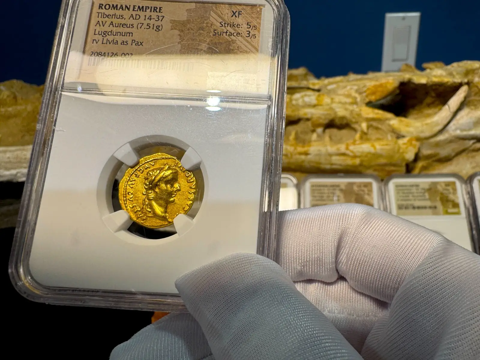 Roman Empire Tiberius "3rd of the 12 Caesars" 14AD NGC XF 5x3 Straight Grade 18