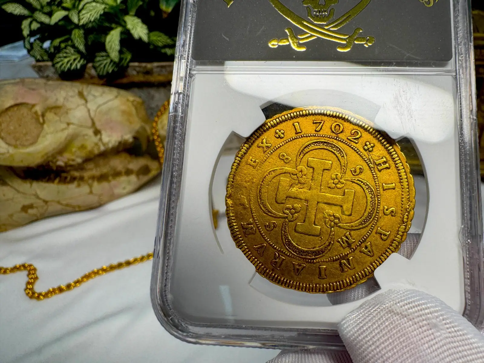 Spain 8 Escudos 1702 "6 Graded NGC- RARE" NGC VF 16