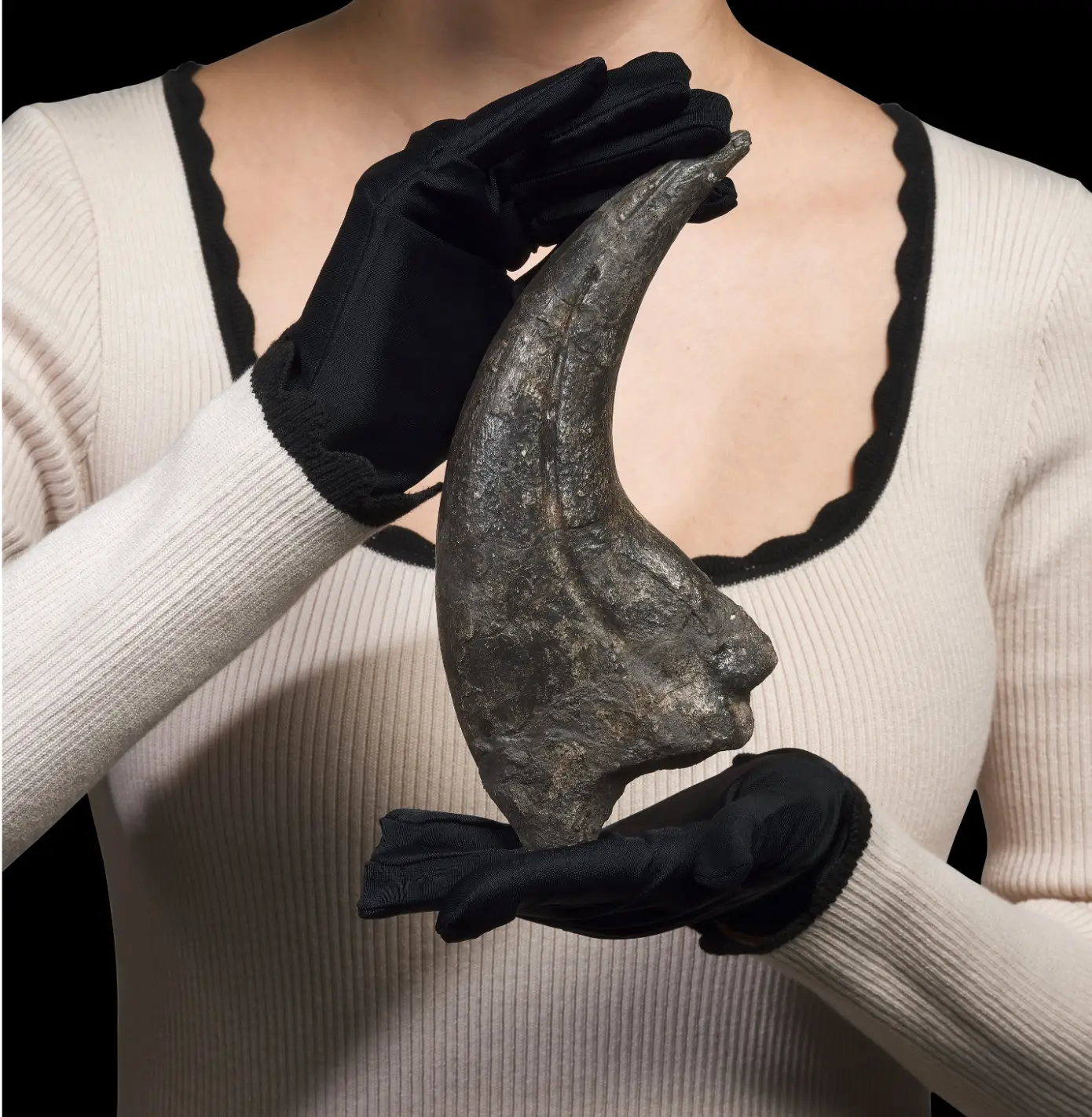 Spinosaurid Dinosaur Claw 9 inches!! Early Cretaceous, Suchomimus tenerensis Fossil