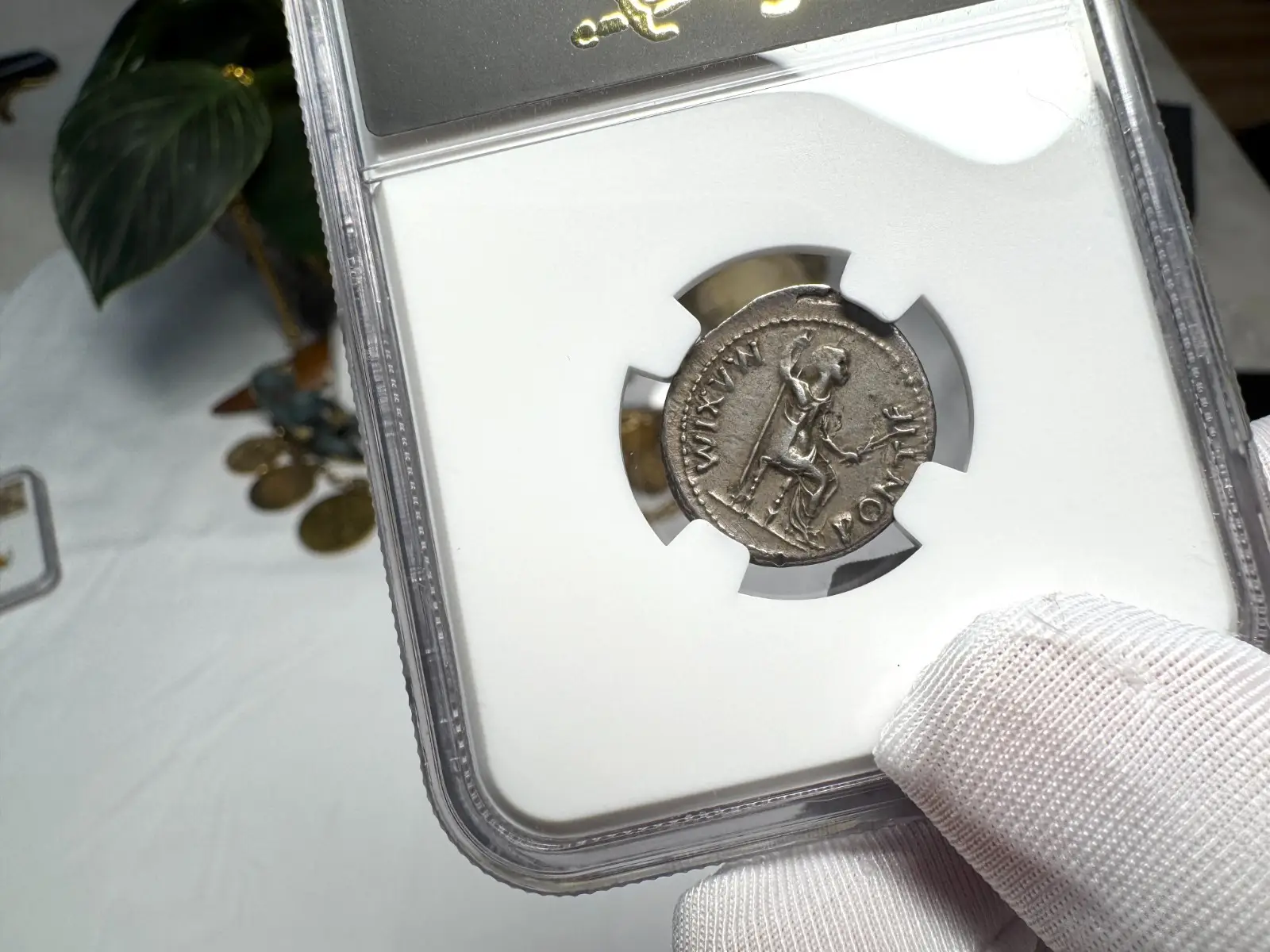 Roman Empire Tiberius "3rd of 12 Caesars" Denarius "Jesus Tribute Penny" NGC ChVF #419-001 5
