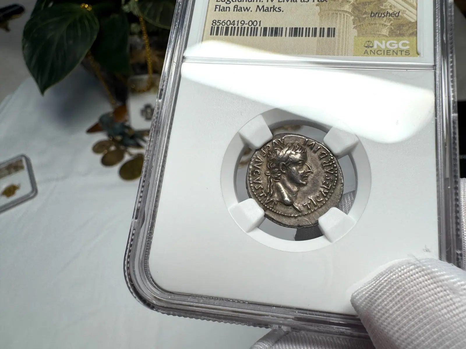 Roman Empire Tiberius "3rd of 12 Caesars" Denarius "Jesus Tribute Penny" NGC ChVF #419-001 3