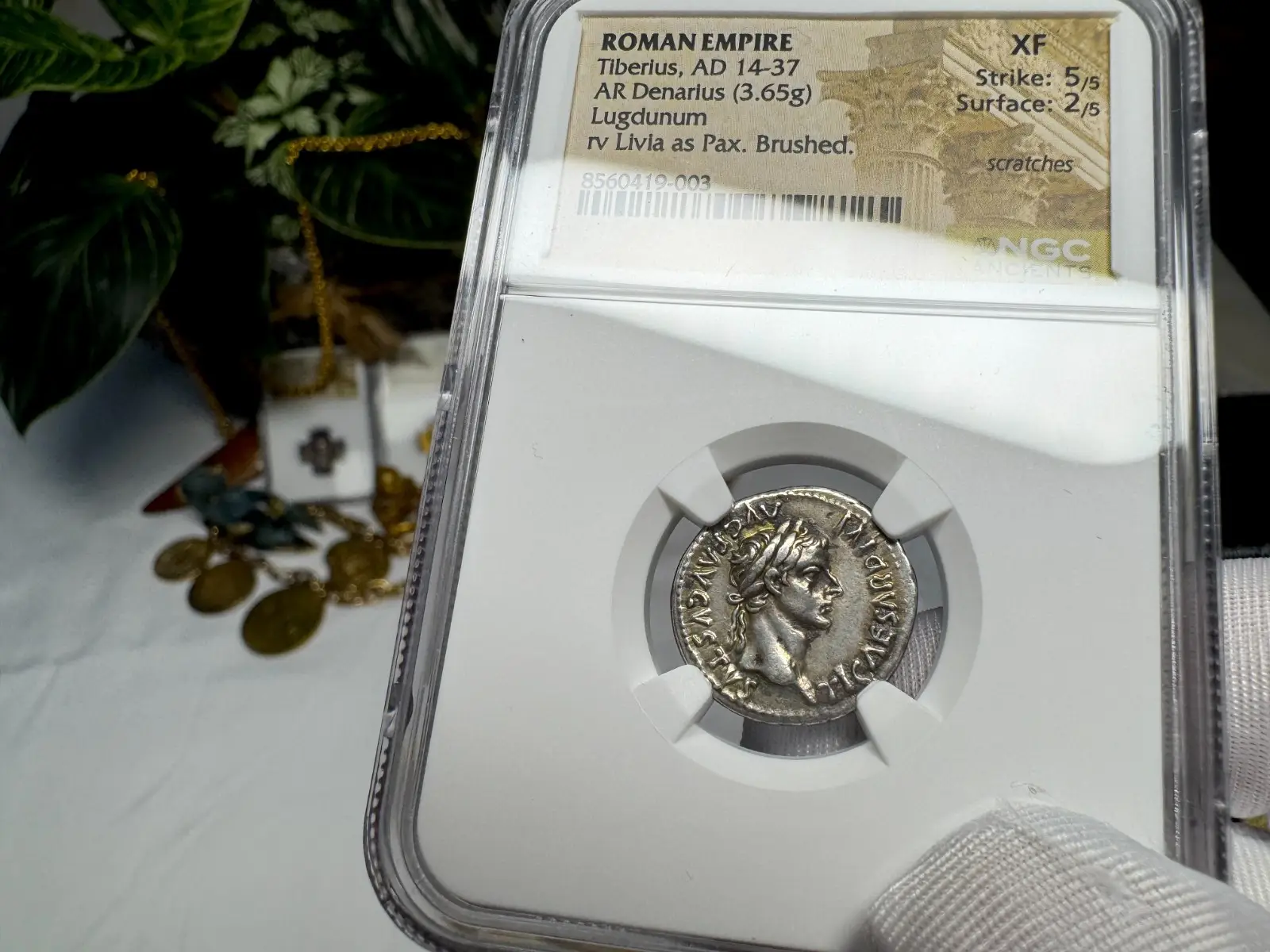 Roman Empire Tiberius "3rd of 12 CAESARS" Denarius "Jesus Tribute Penny" NGC XF #419-003 19