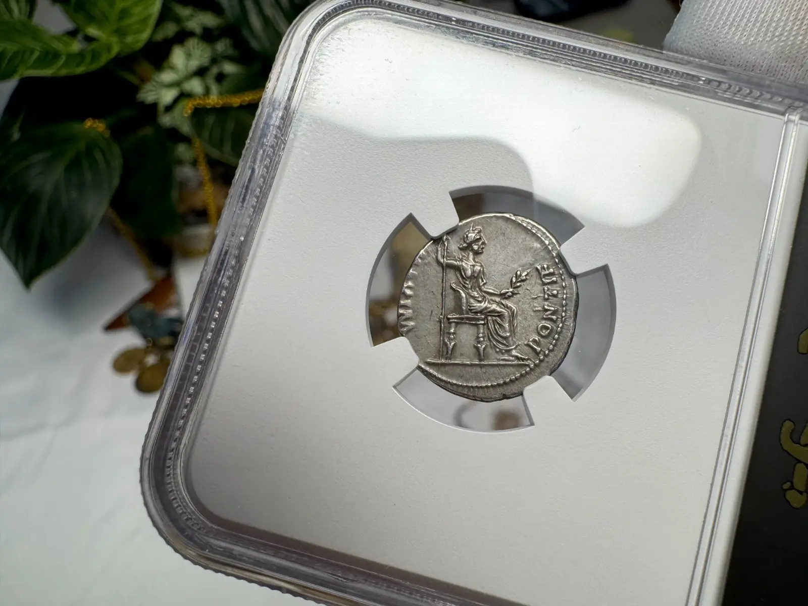 Roman Empire Tiberius "3rd of 12 Caesars" Denarius "Jesus Tribute Penny" NGC Ch XF #419-002 5