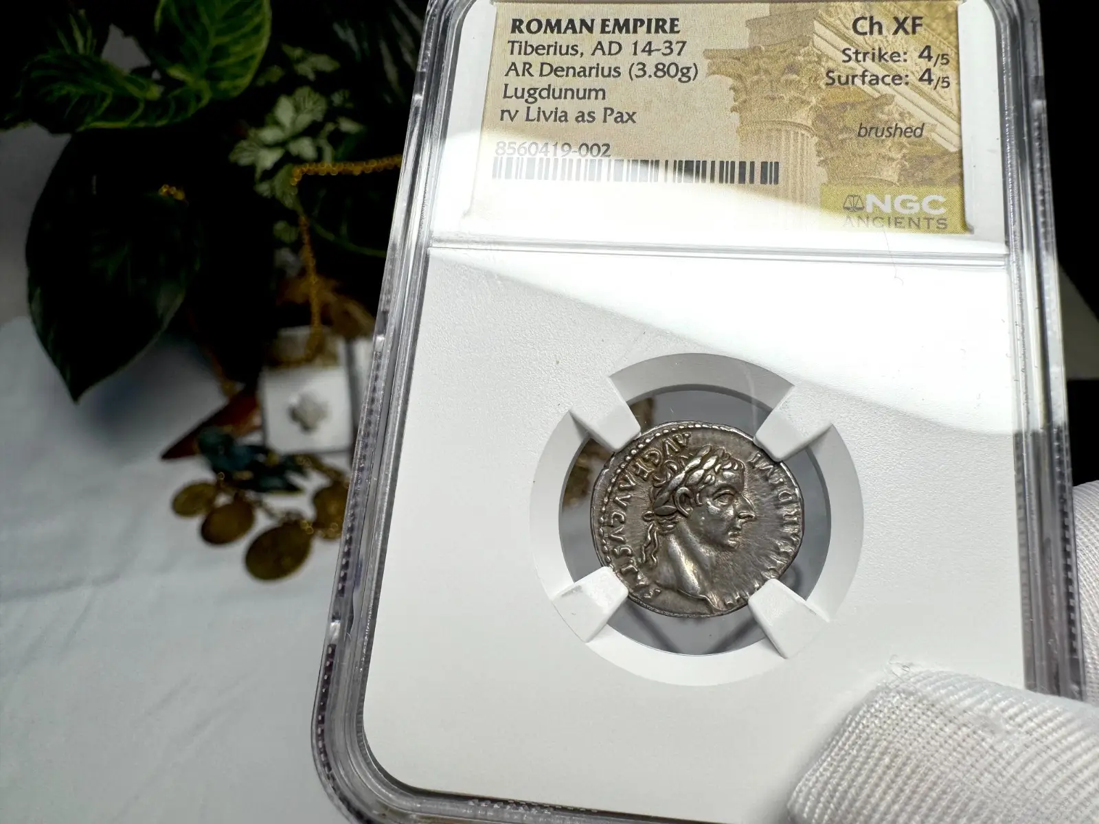 Roman Empire Tiberius "3rd of 12 Caesars" Denarius "Jesus Tribute Penny" NGC Ch XF #419-002 3