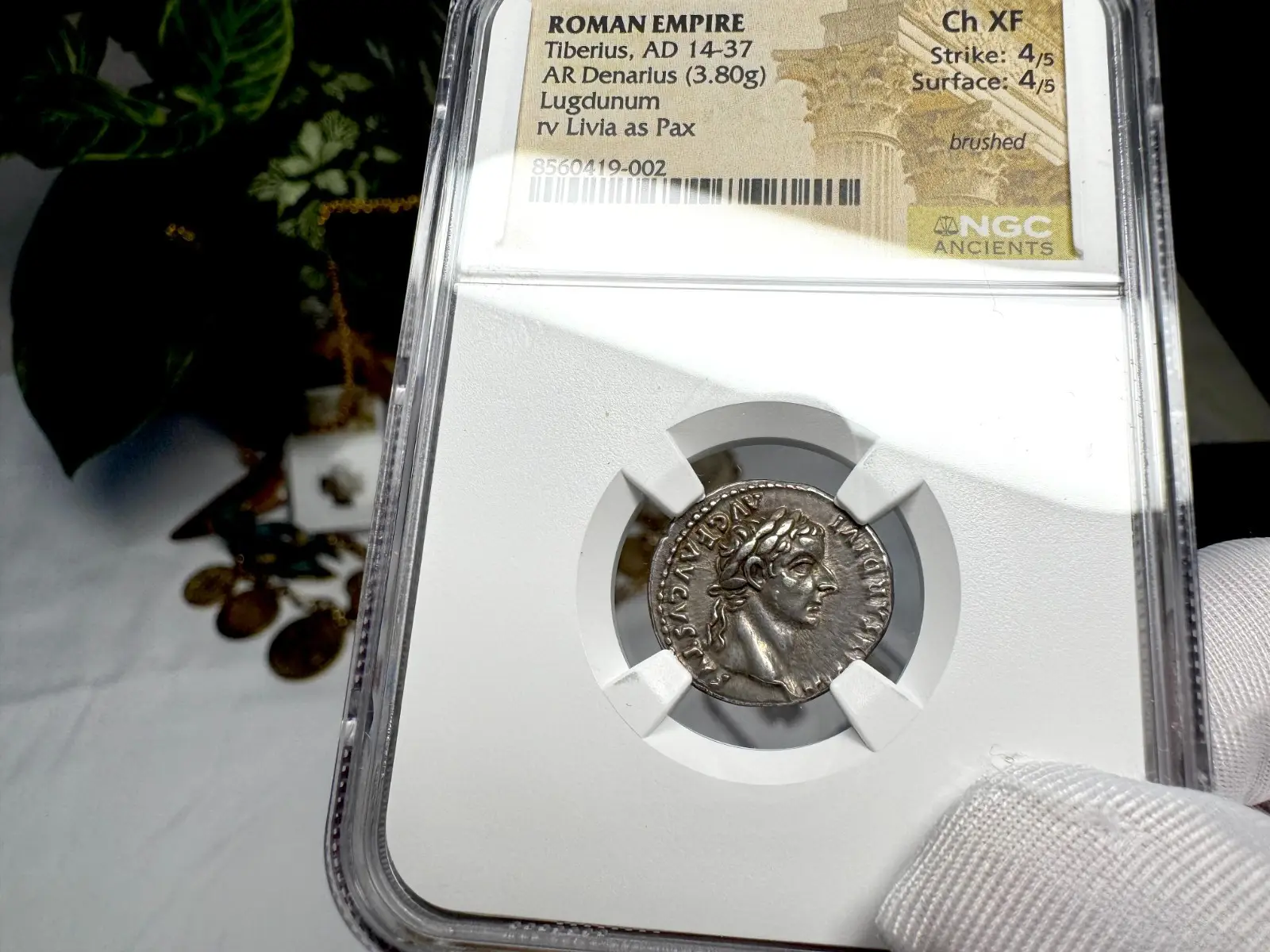 Roman Empire Tiberius "3rd of 12 Caesars" Denarius "Jesus Tribute Penny" NGC Ch XF #419-002 10