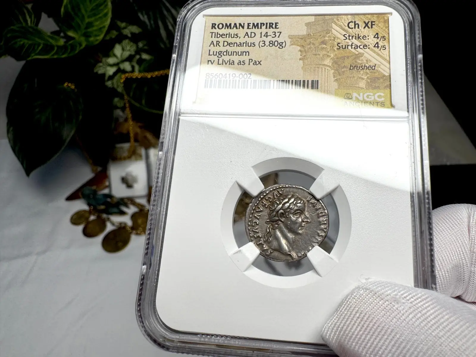 Roman Empire Tiberius "3rd of 12 Caesars" Denarius "Jesus Tribute Penny" NGC Ch XF #419-002 15
