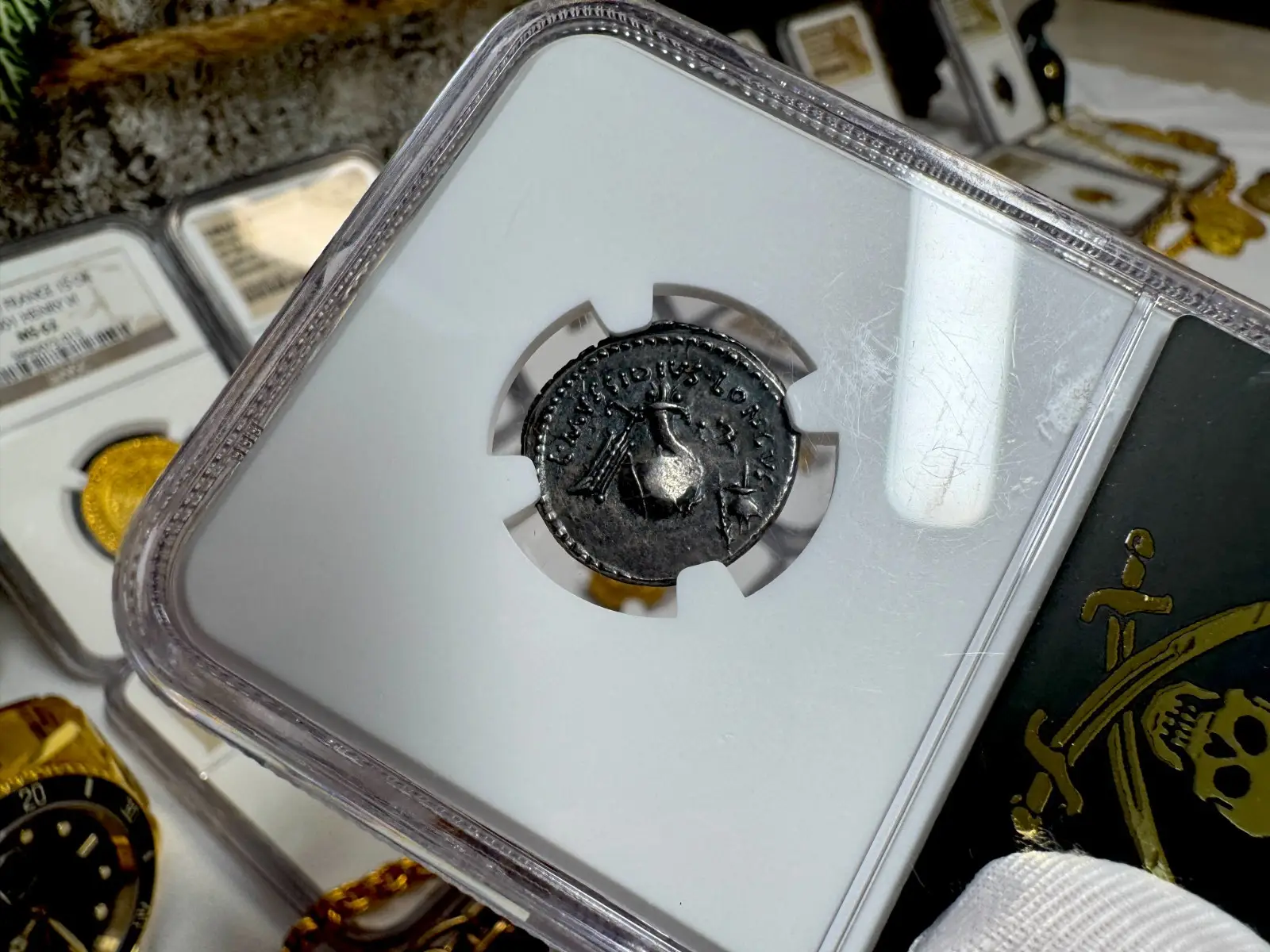 Roman Imperatorial "Julius Caesar- 1st of 12 Caesars" Denarius 44BC NGC Ch VF #118-001 9
